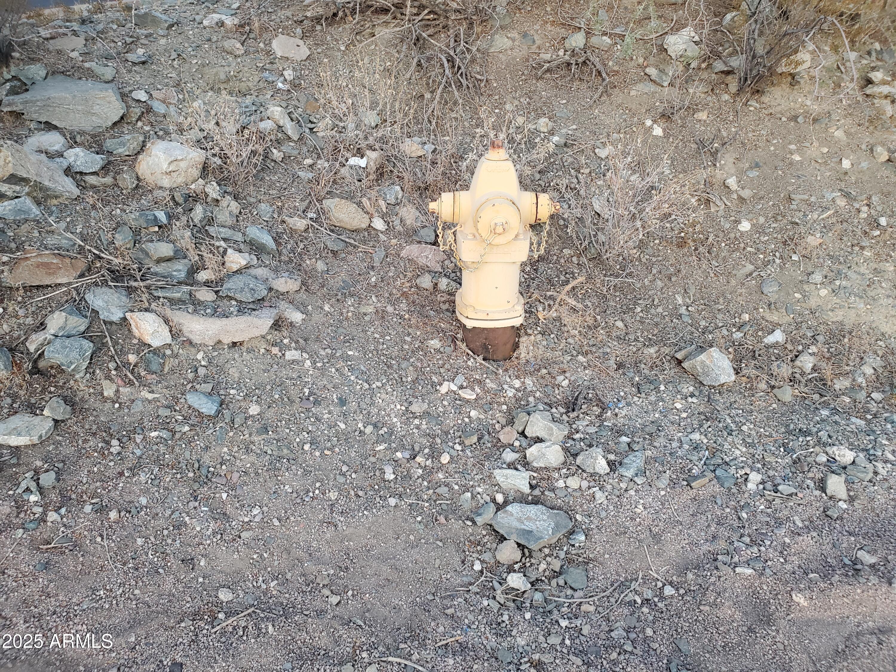 1665 E DESERT WILLOW Drive # 56