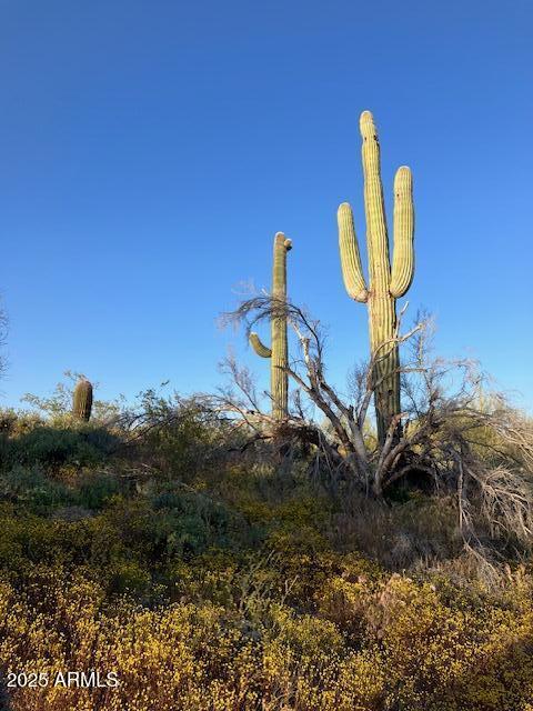 5713 E SAGUARO Road E Unit: *-*