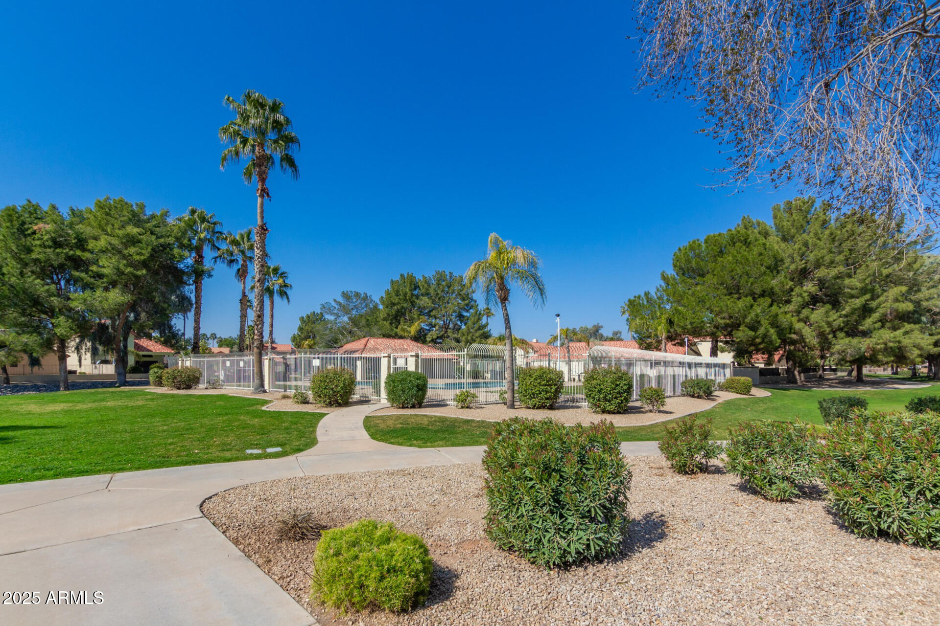 439 N COBBLESTONE Street