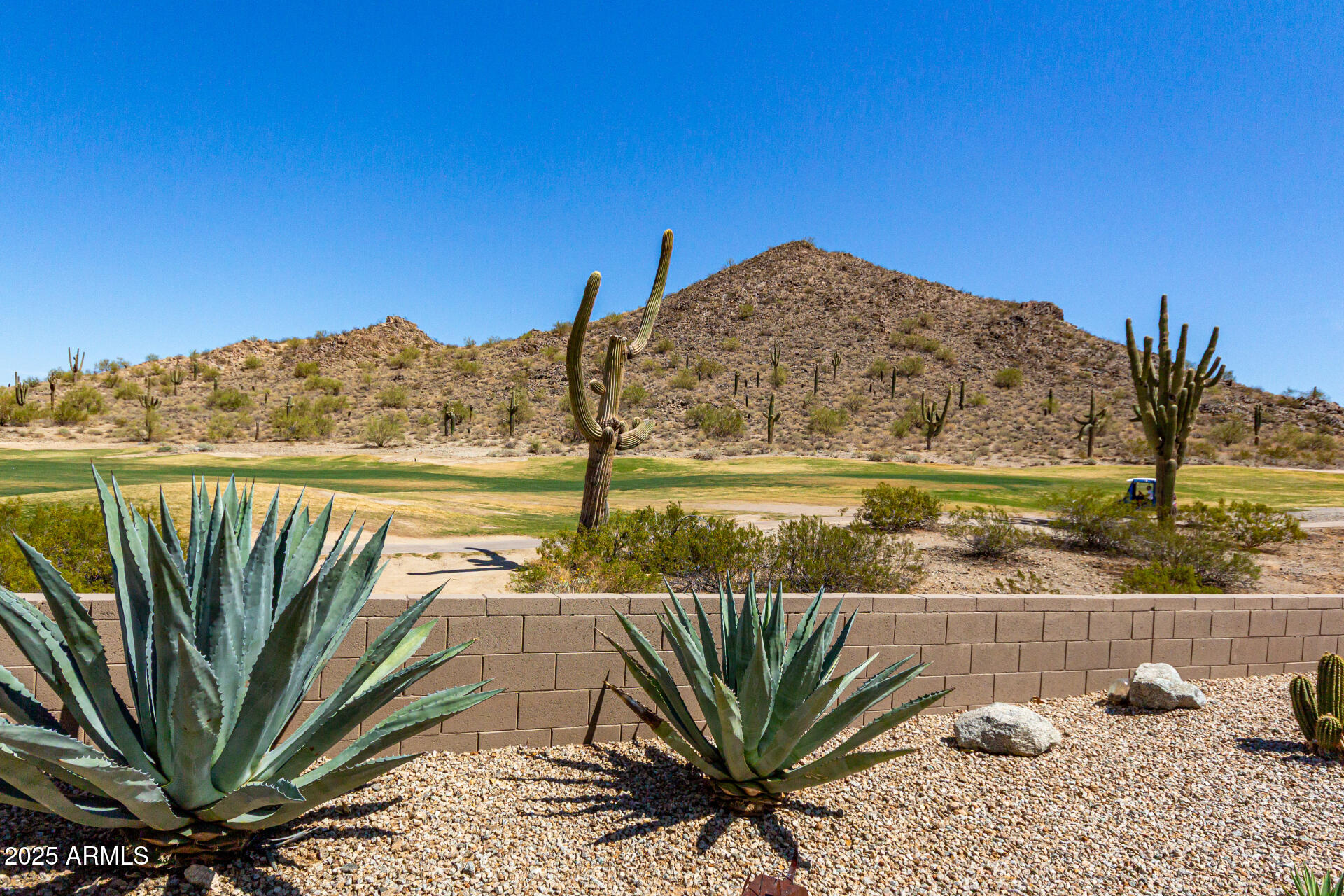 31525 N GOLD FIELD Road