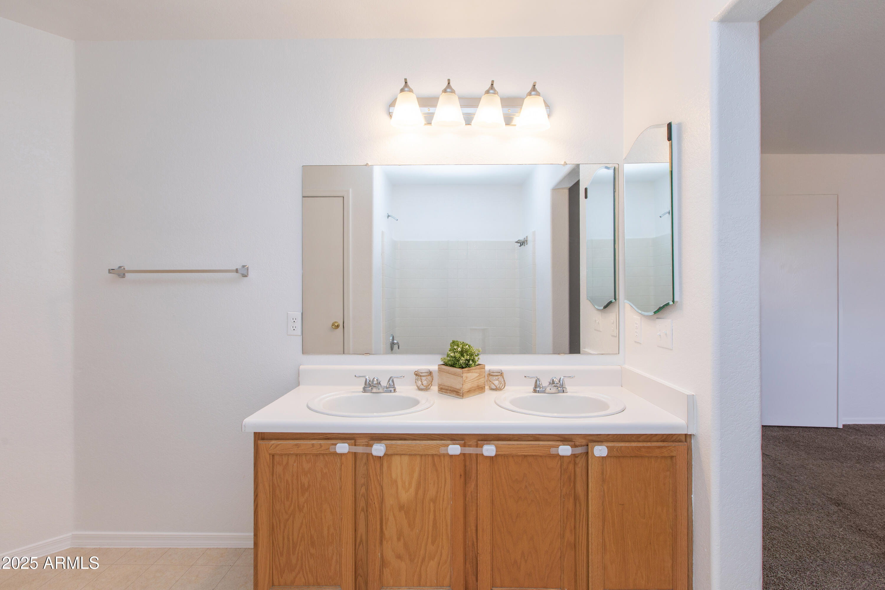 1037 E Dust Devil Drive