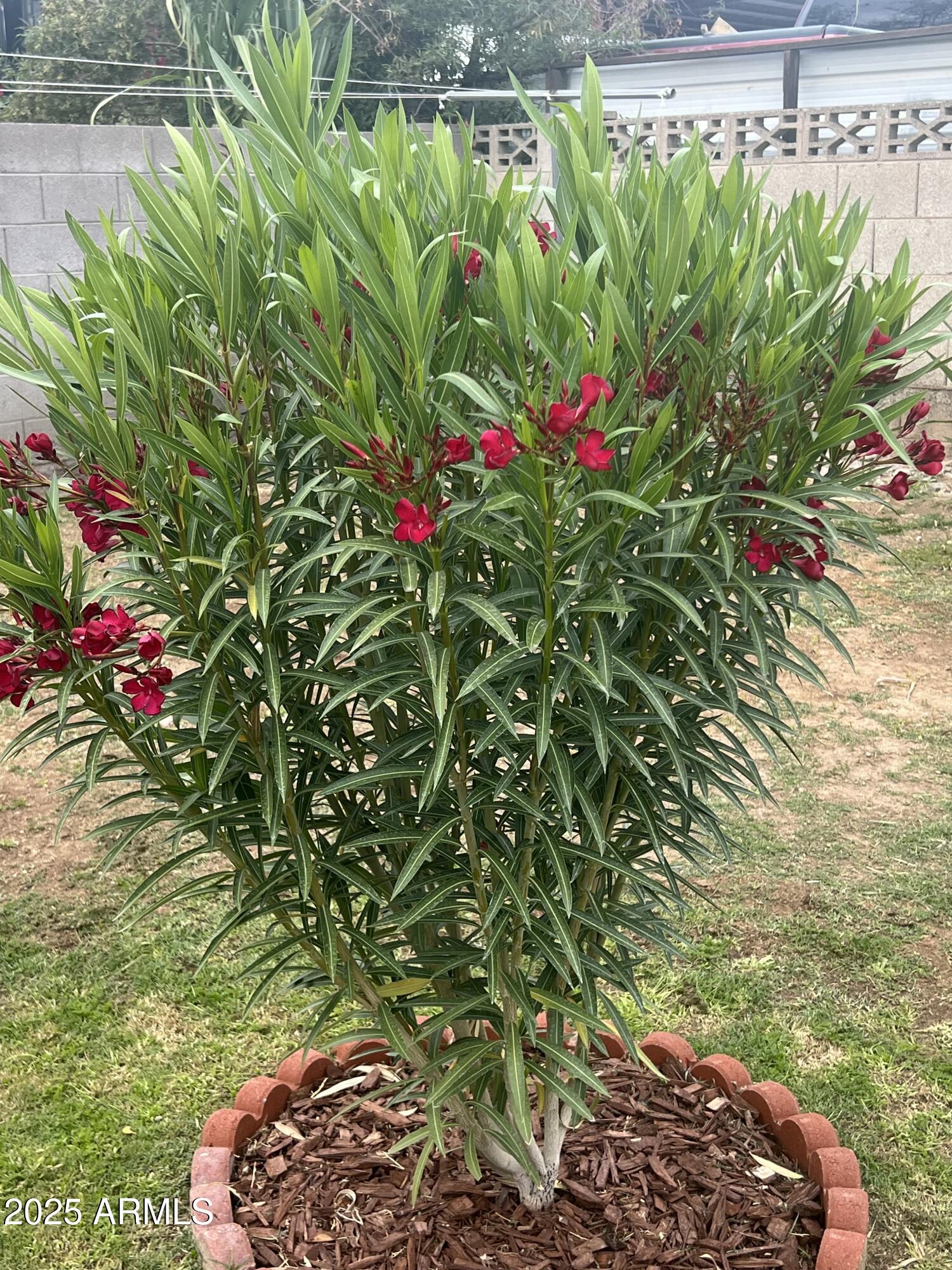 1740 W CRESCENT Avenue