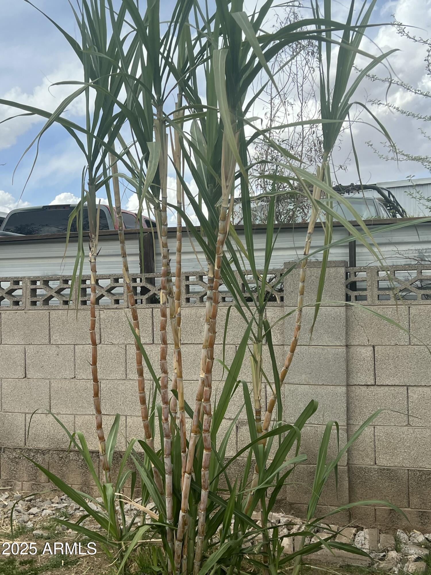 1740 W CRESCENT Avenue