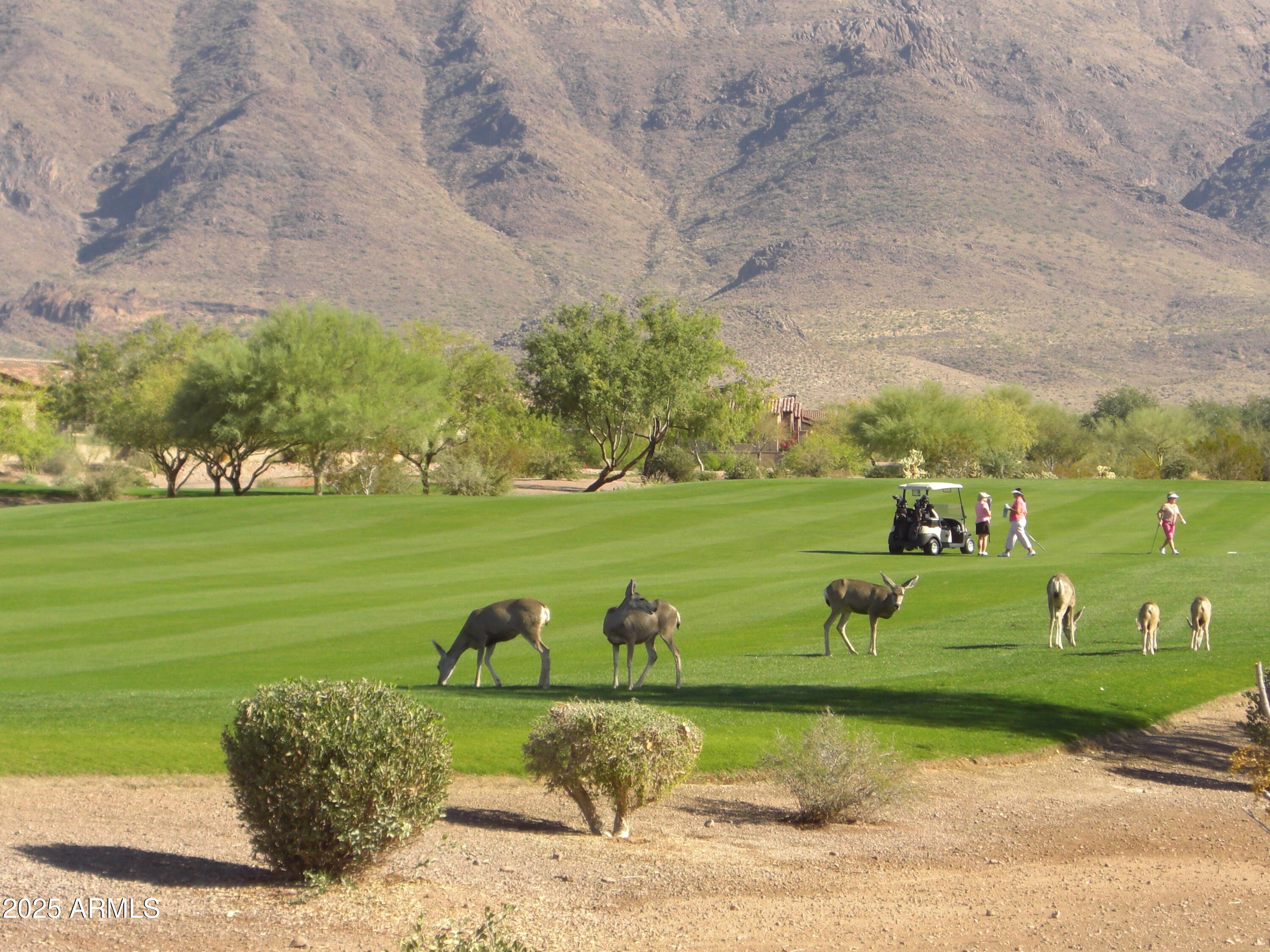 3086 S FIRST WATER Lane