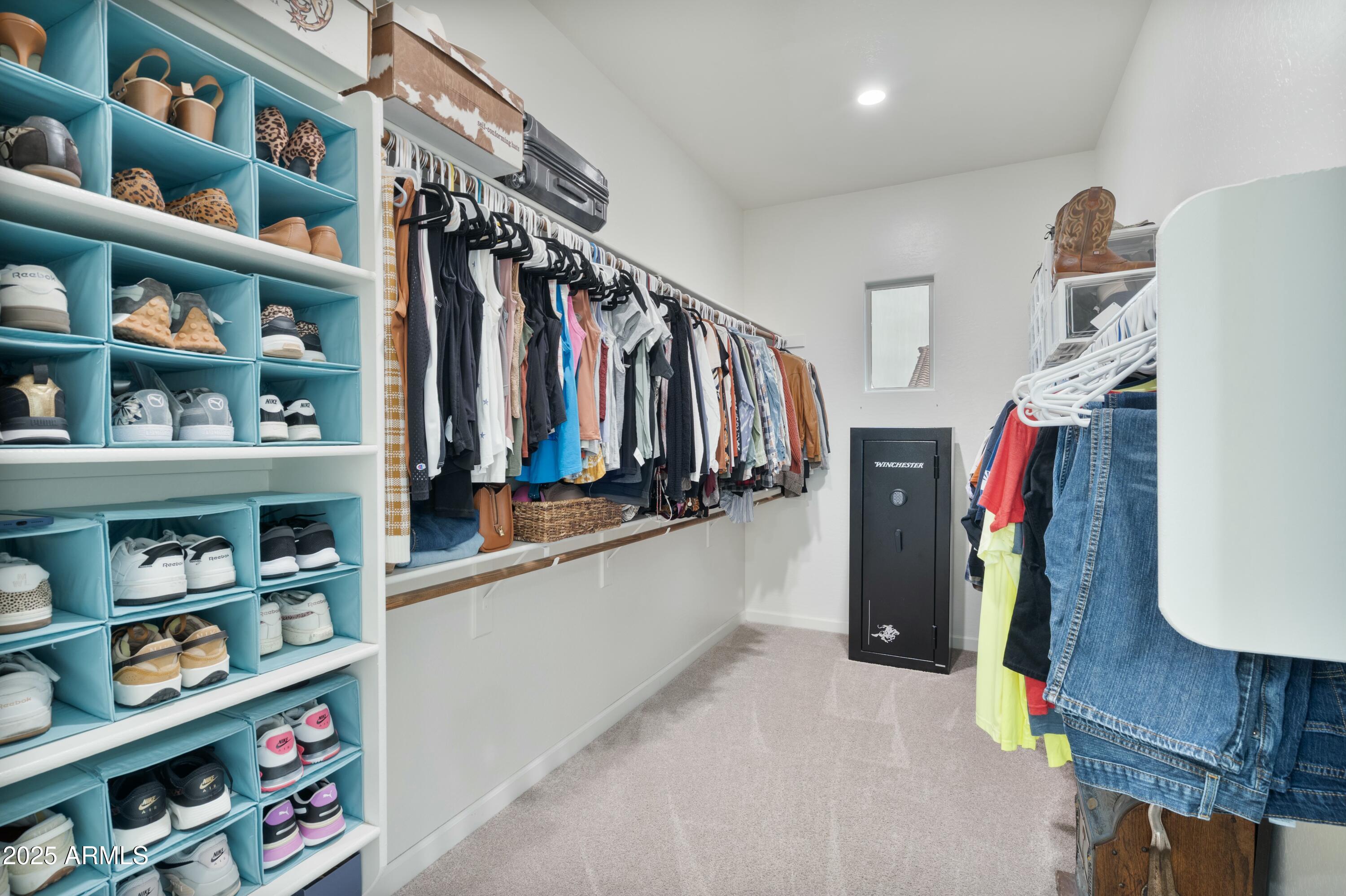 3529 E DESERT BROOM Drive