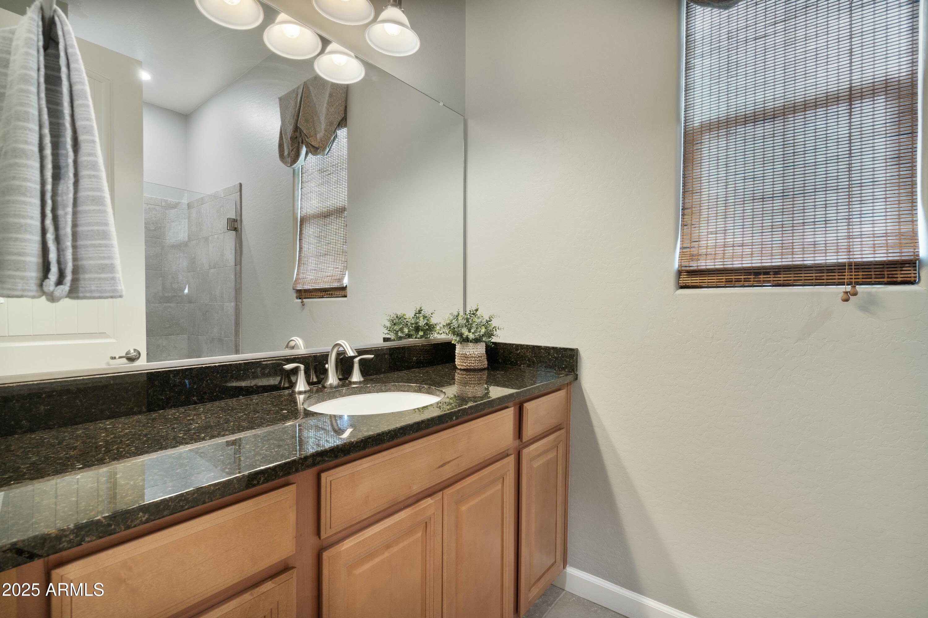 3529 E DESERT BROOM Drive