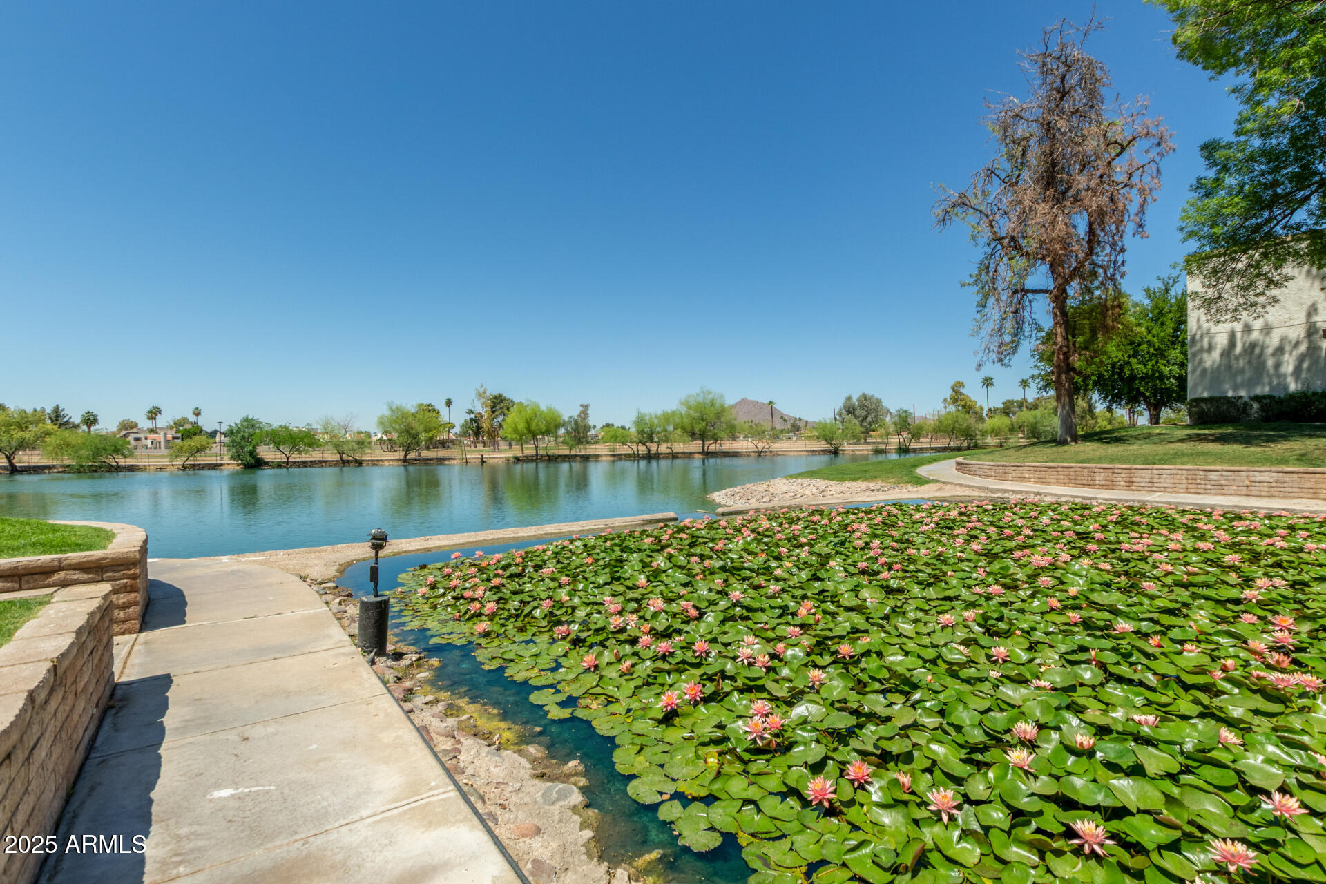 7718 E WILSHIRE Drive