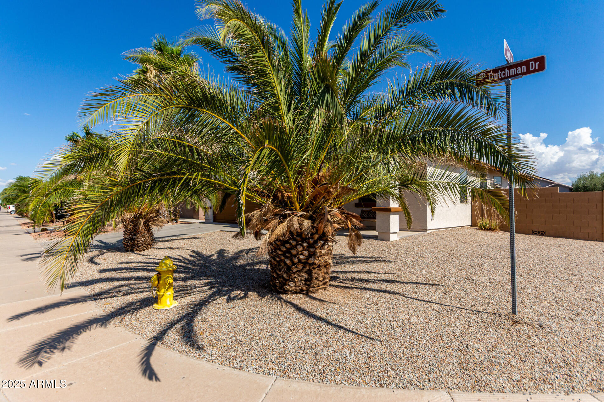 46185 W DUTCHMAN Drive