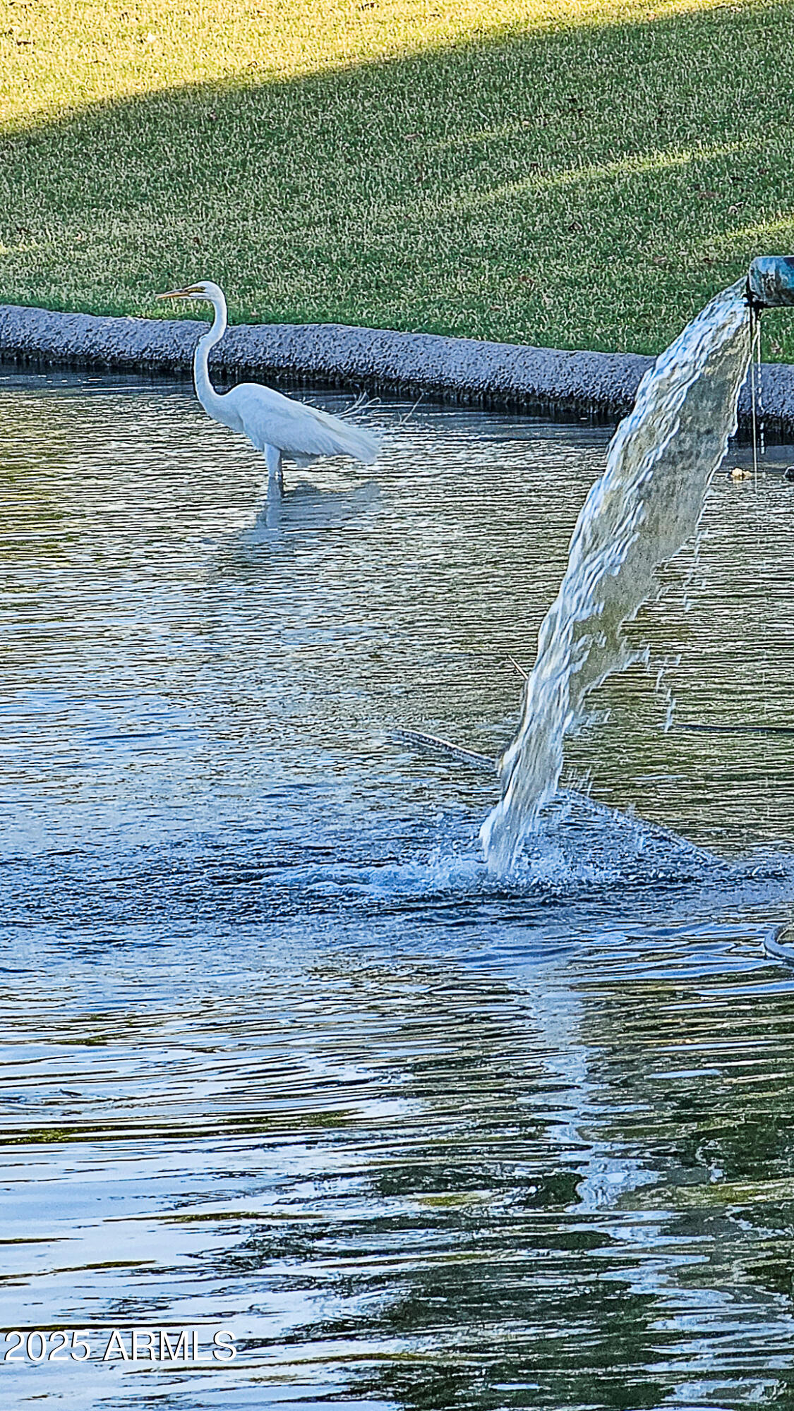 4093 E Westchester Drive