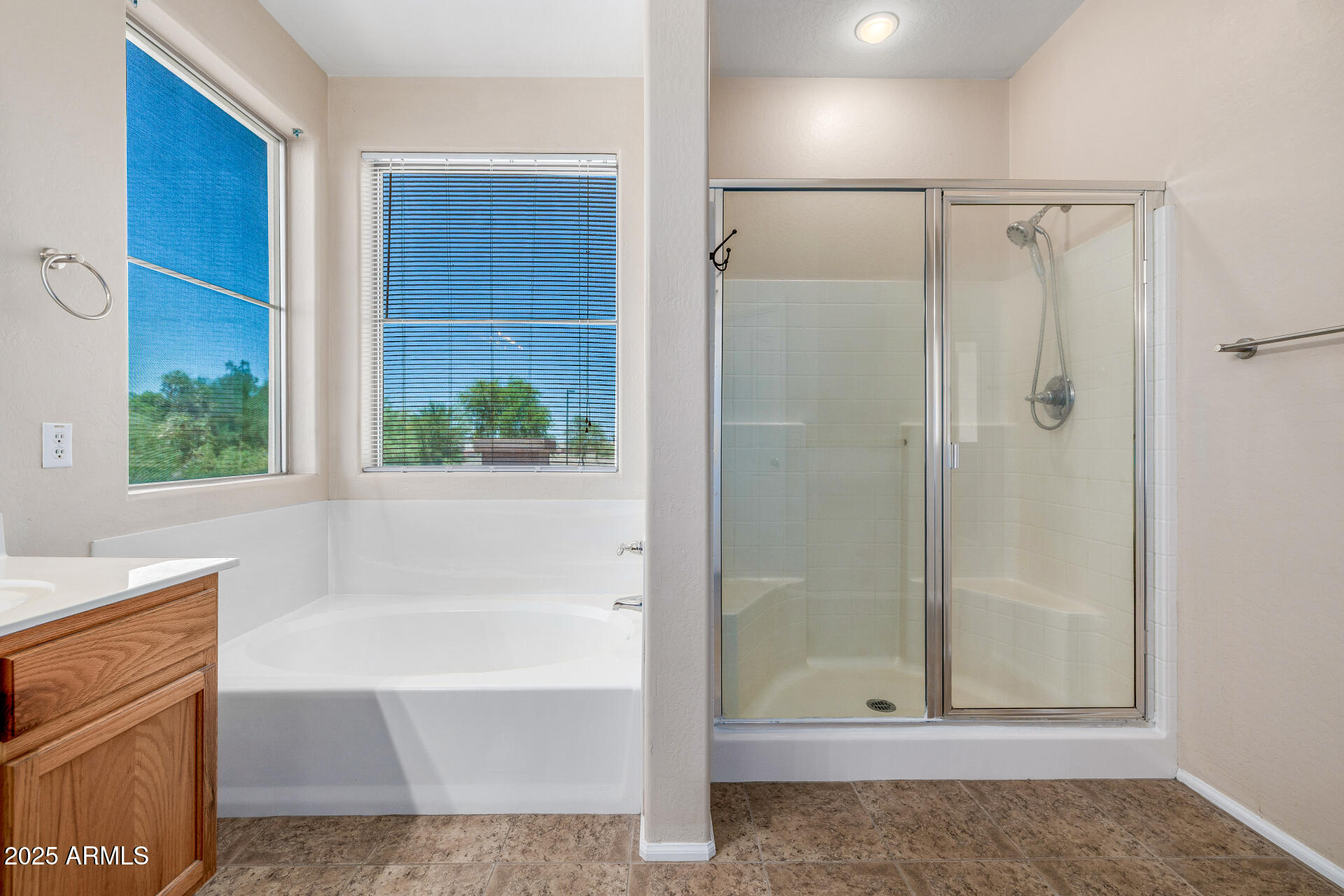 2360 W GOLDMINE MOUNTAIN Drive