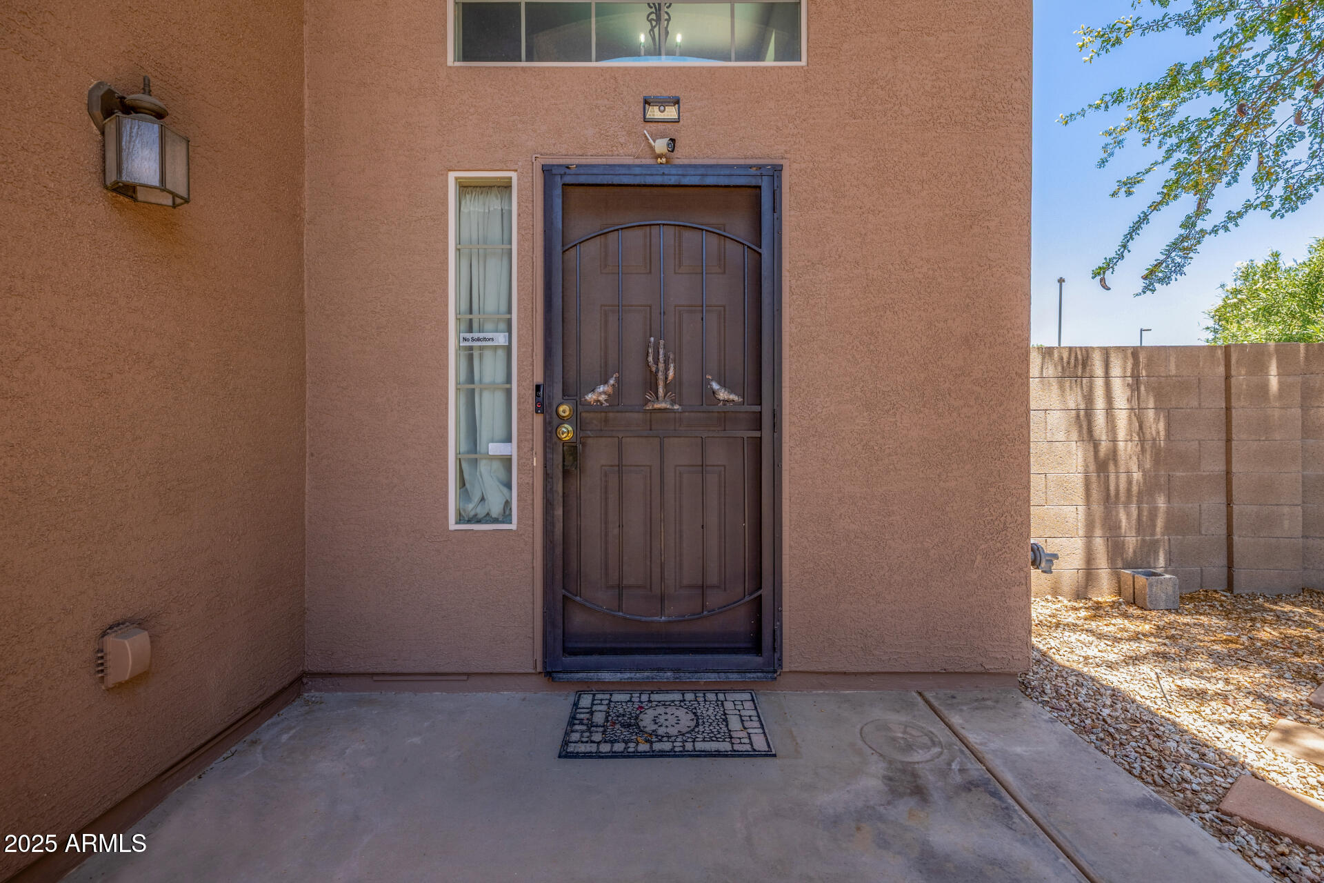 2360 W GOLDMINE MOUNTAIN Drive