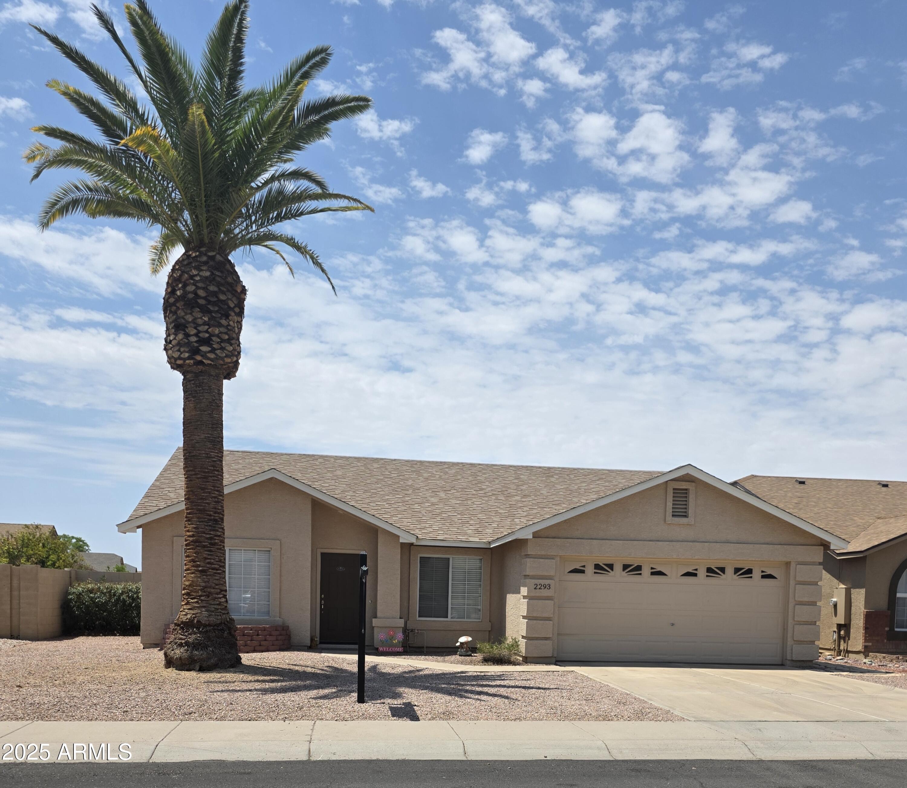 2293 E LONGHORN Place