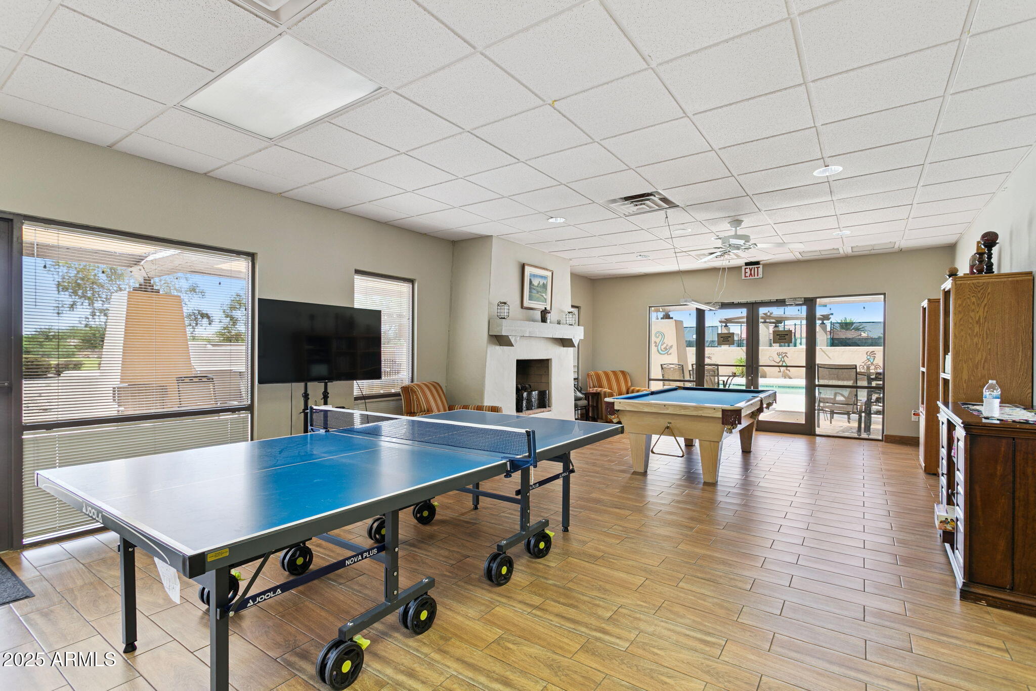 11677 W PRICKLY PEAR Court