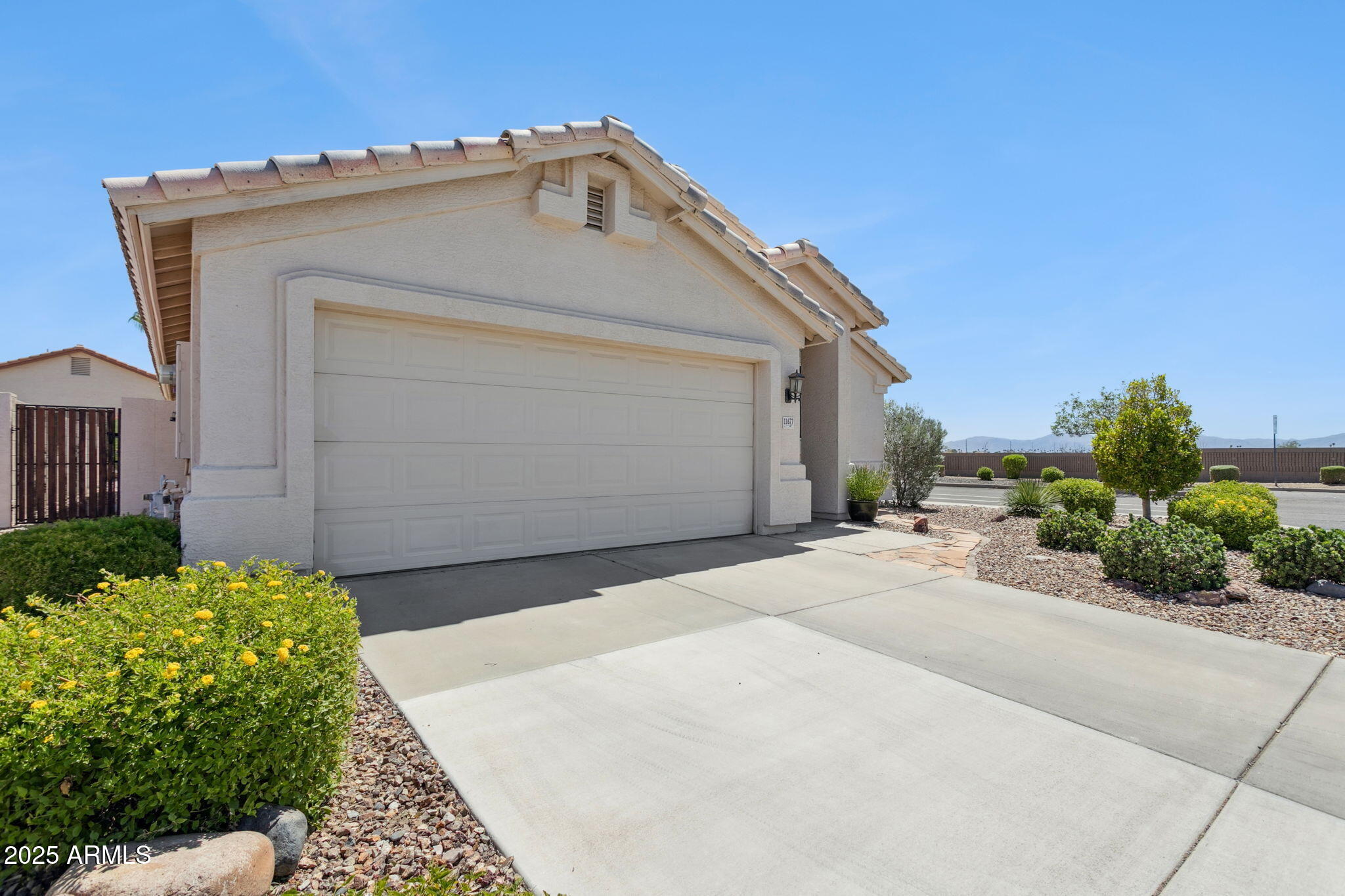 11677 W PRICKLY PEAR Court