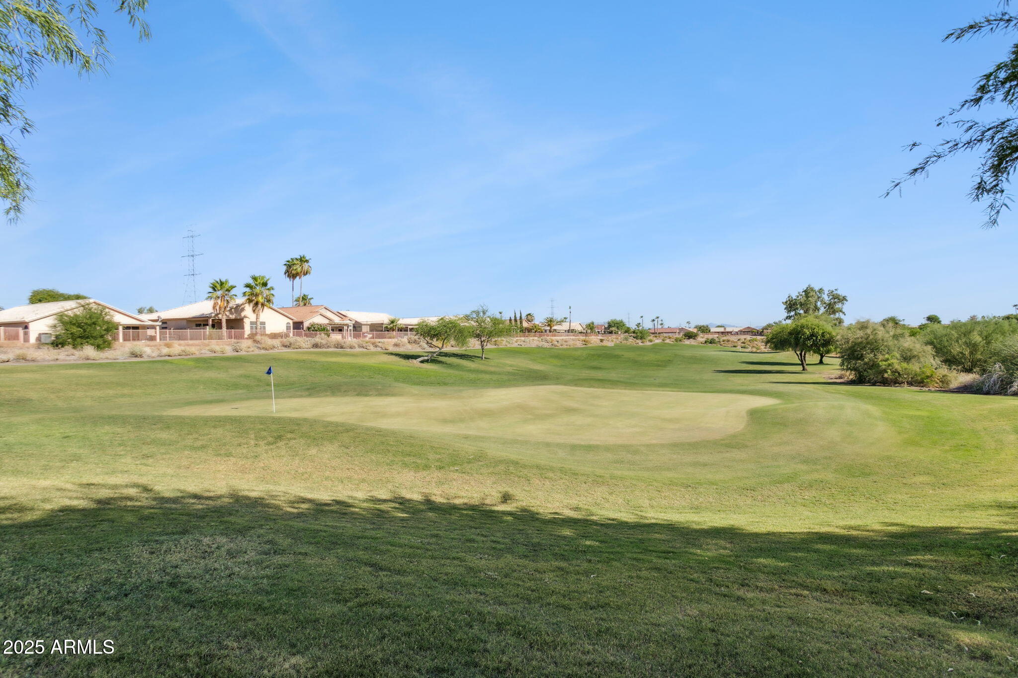 11677 W PRICKLY PEAR Court