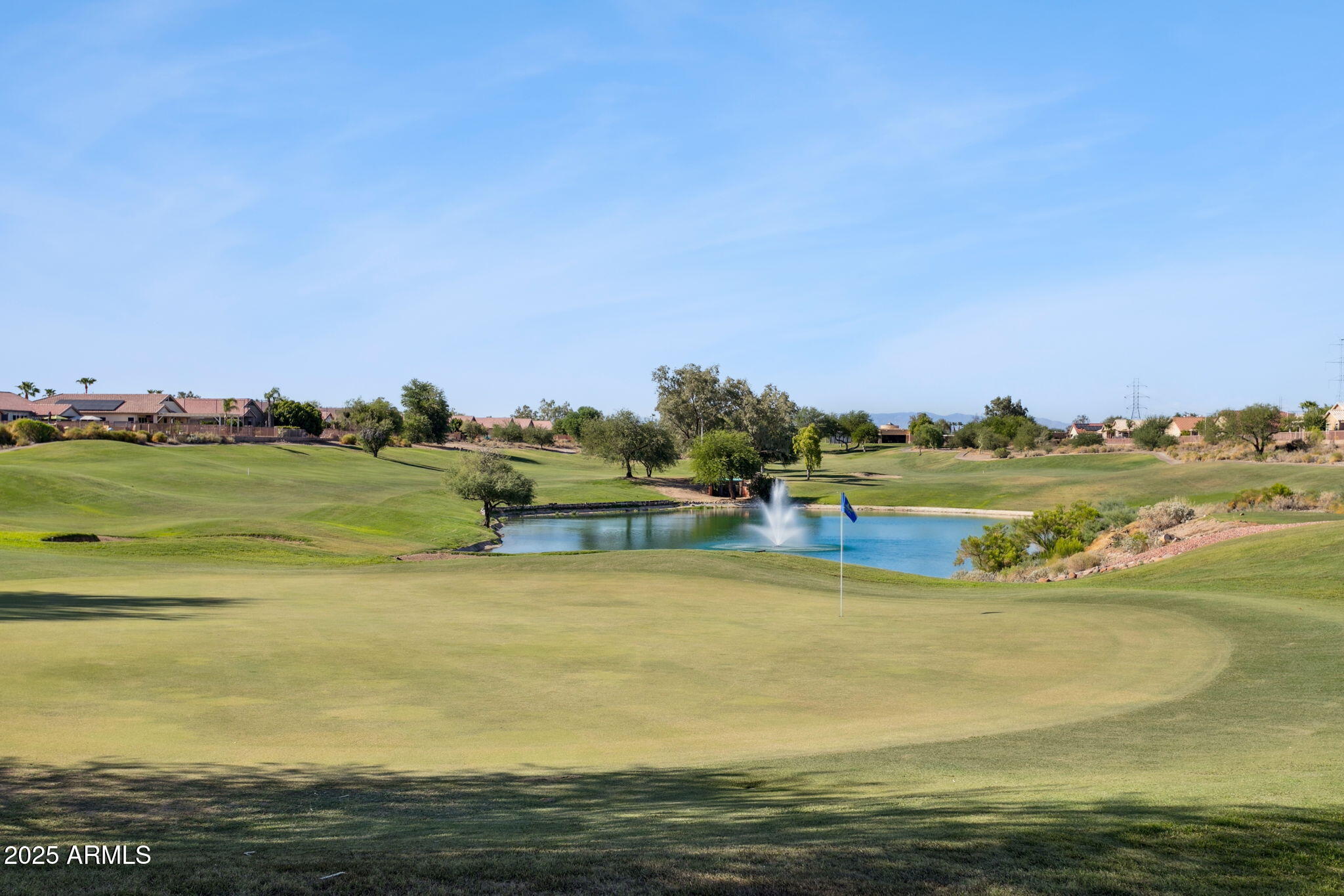 11677 W PRICKLY PEAR Court