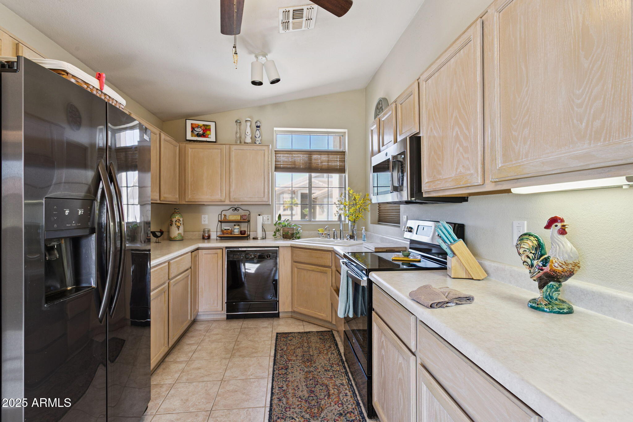 11677 W PRICKLY PEAR Court