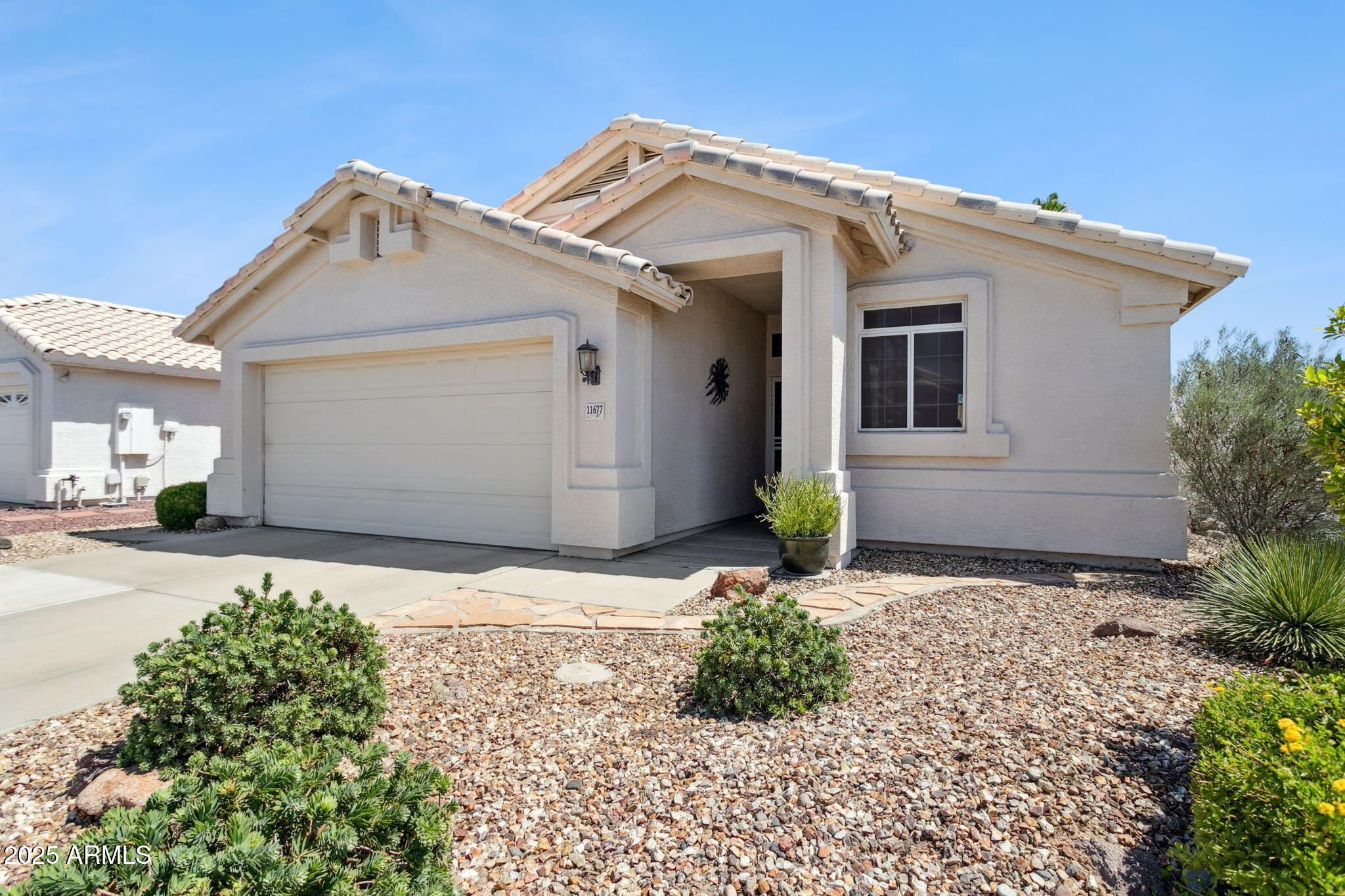 11677 W PRICKLY PEAR Court