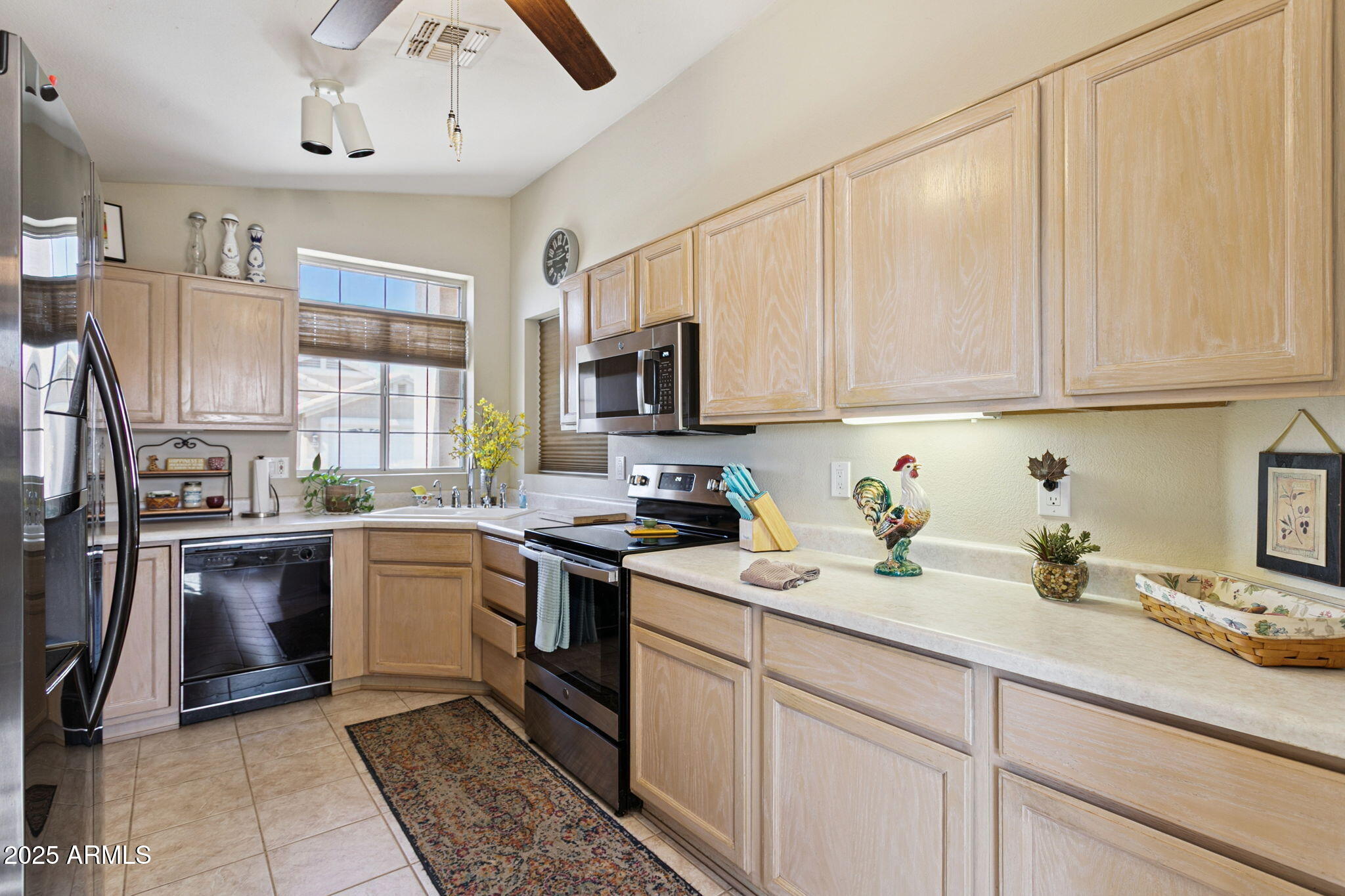 11677 W PRICKLY PEAR Court