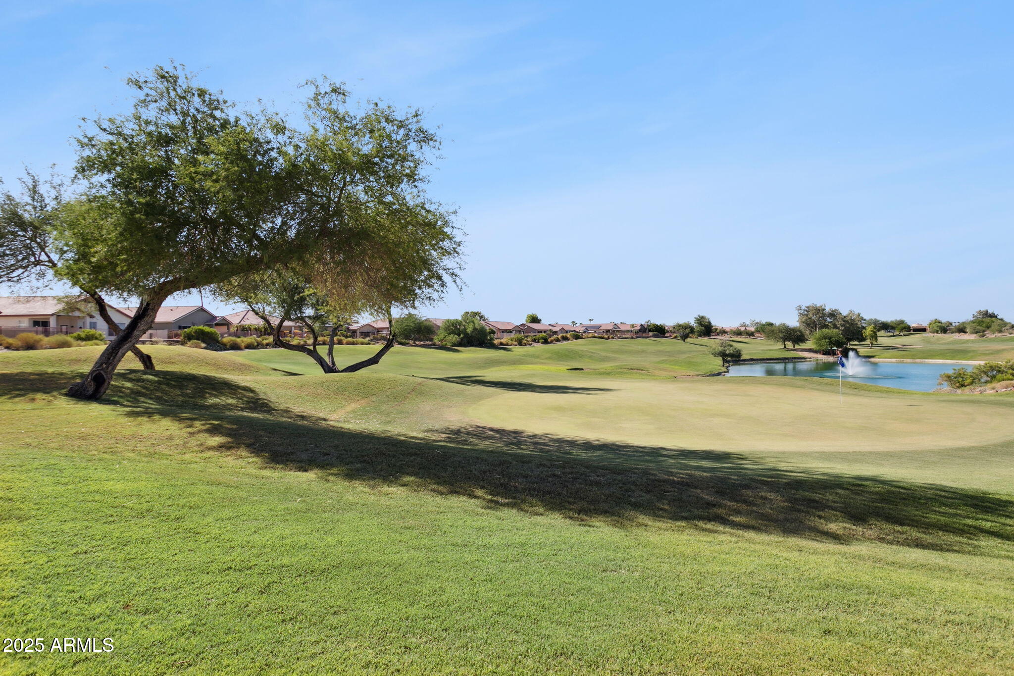 11677 W PRICKLY PEAR Court