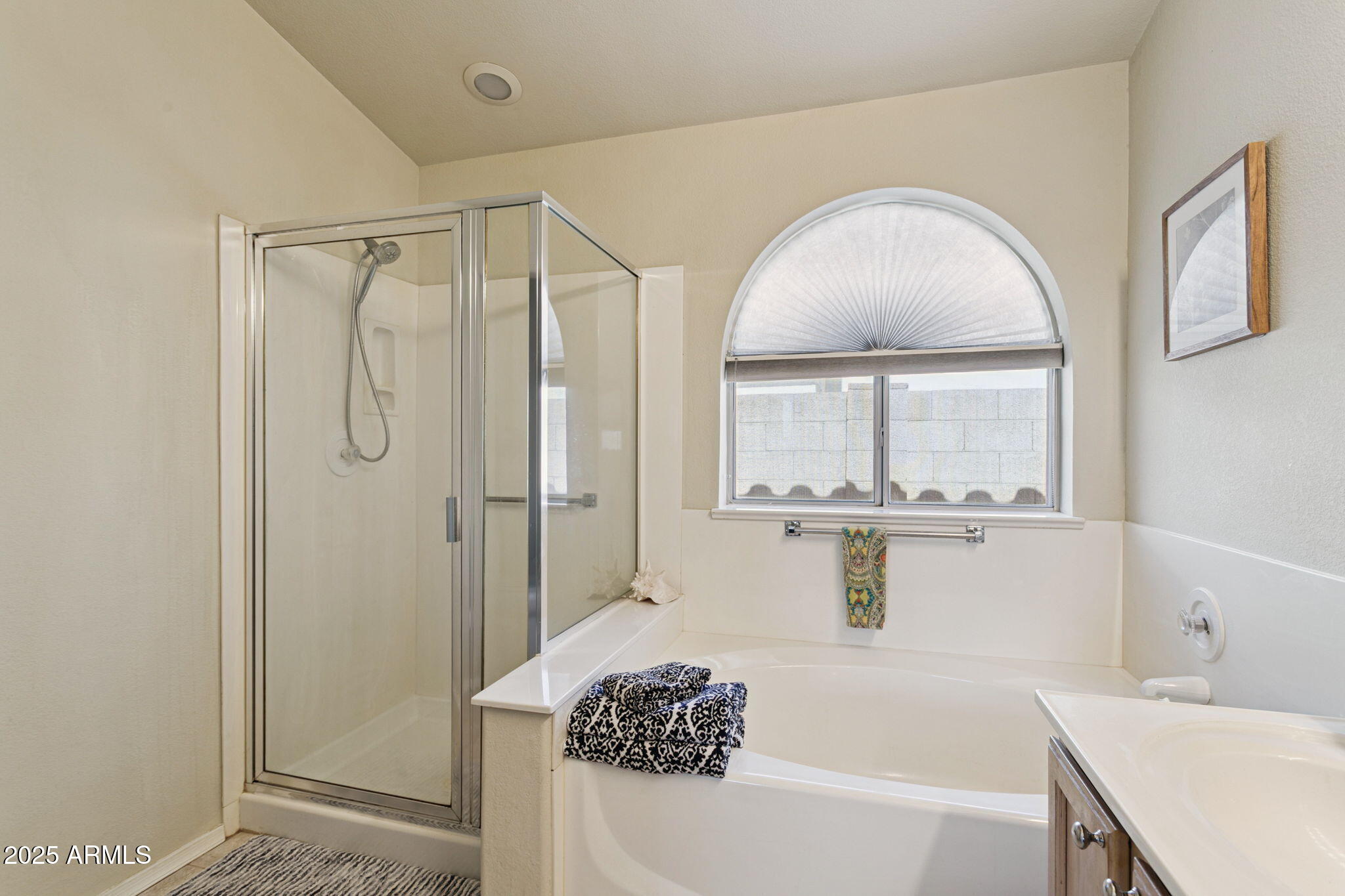 11677 W PRICKLY PEAR Court