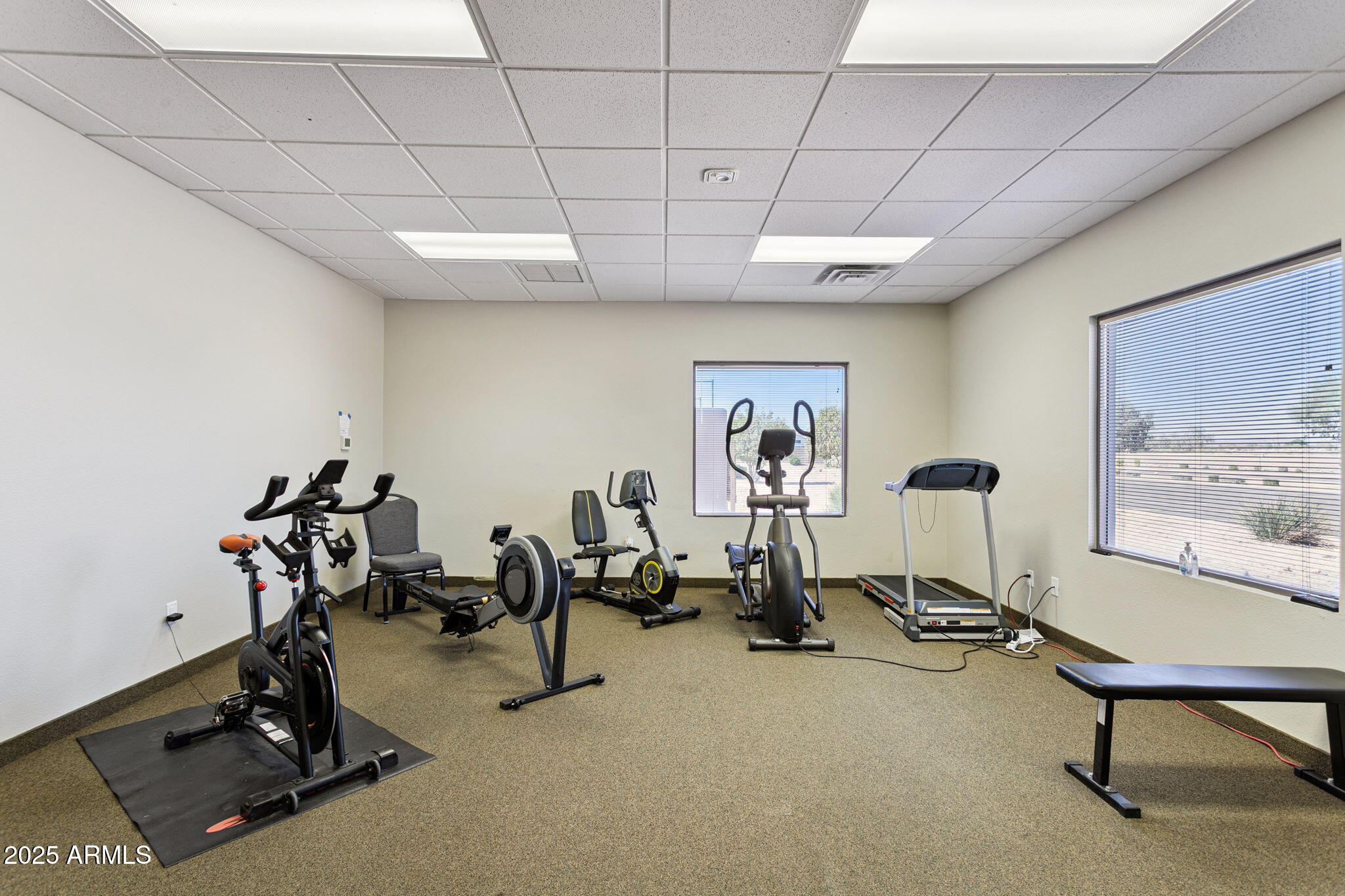 11677 W PRICKLY PEAR Court