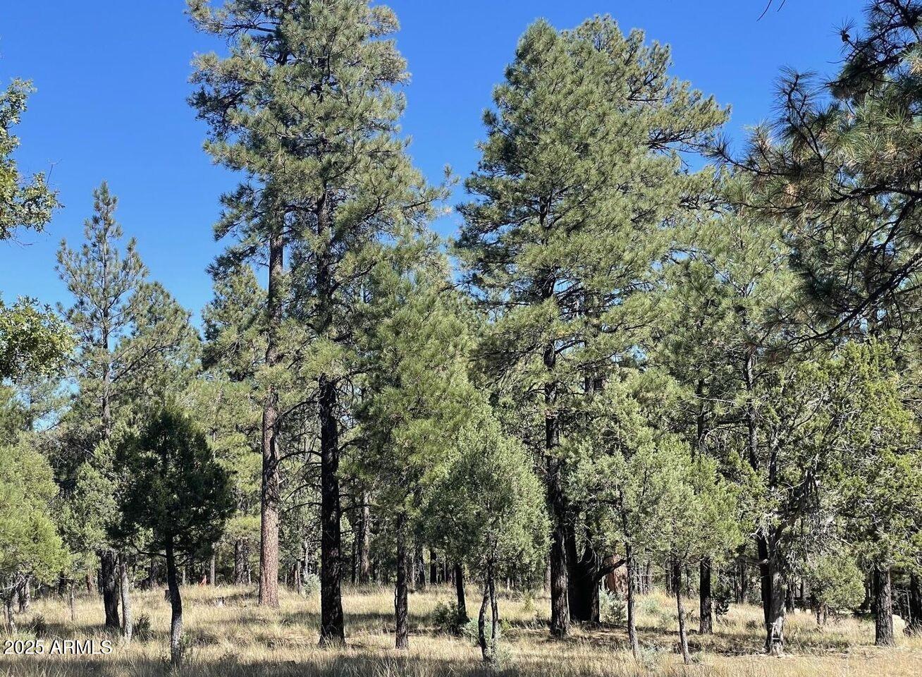 2634 SAN JUAN Drive, 122