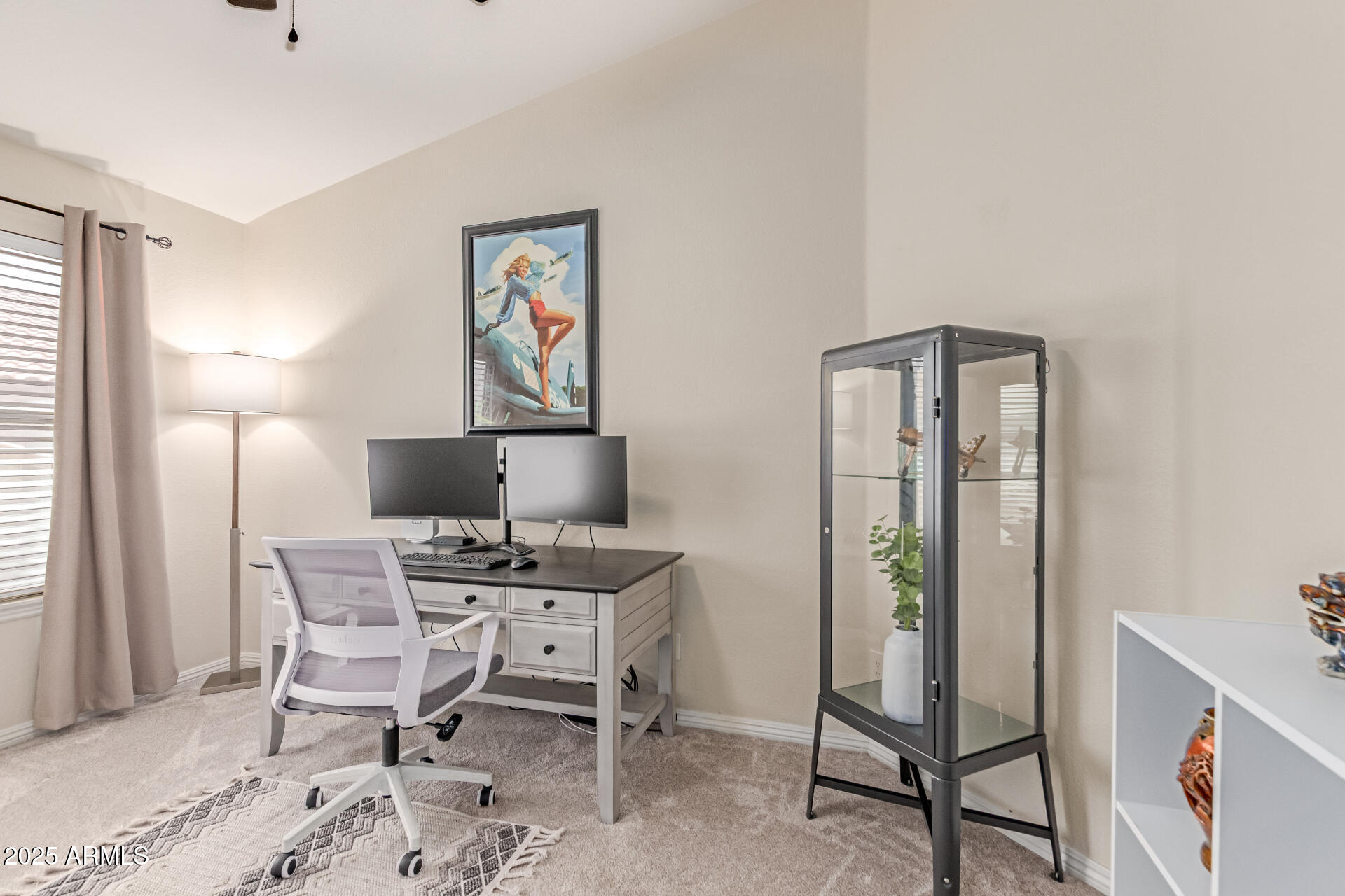 2302 E MOUNTAIN SKY Avenue