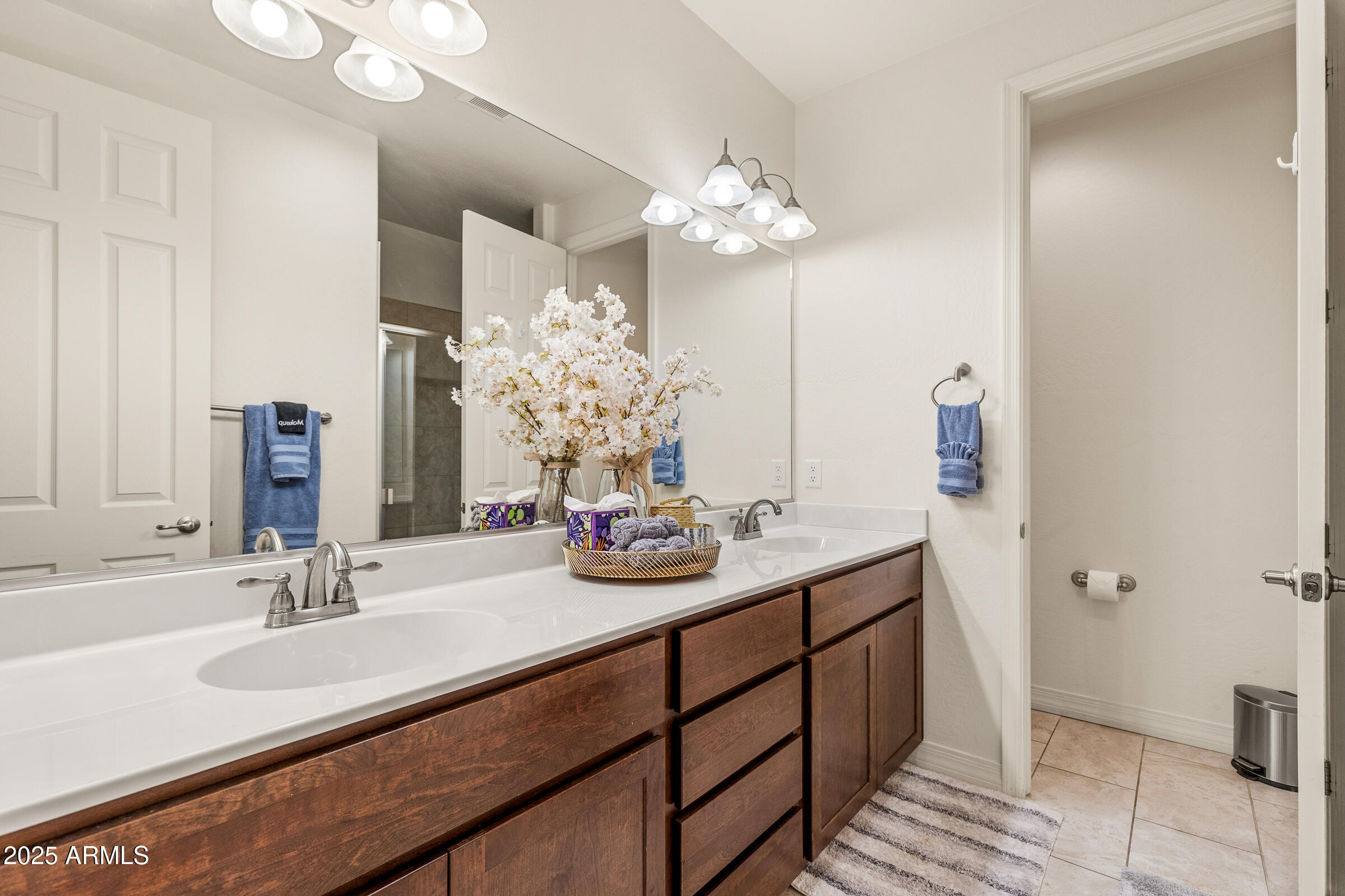 2477 W MISSION TIMBER Circle