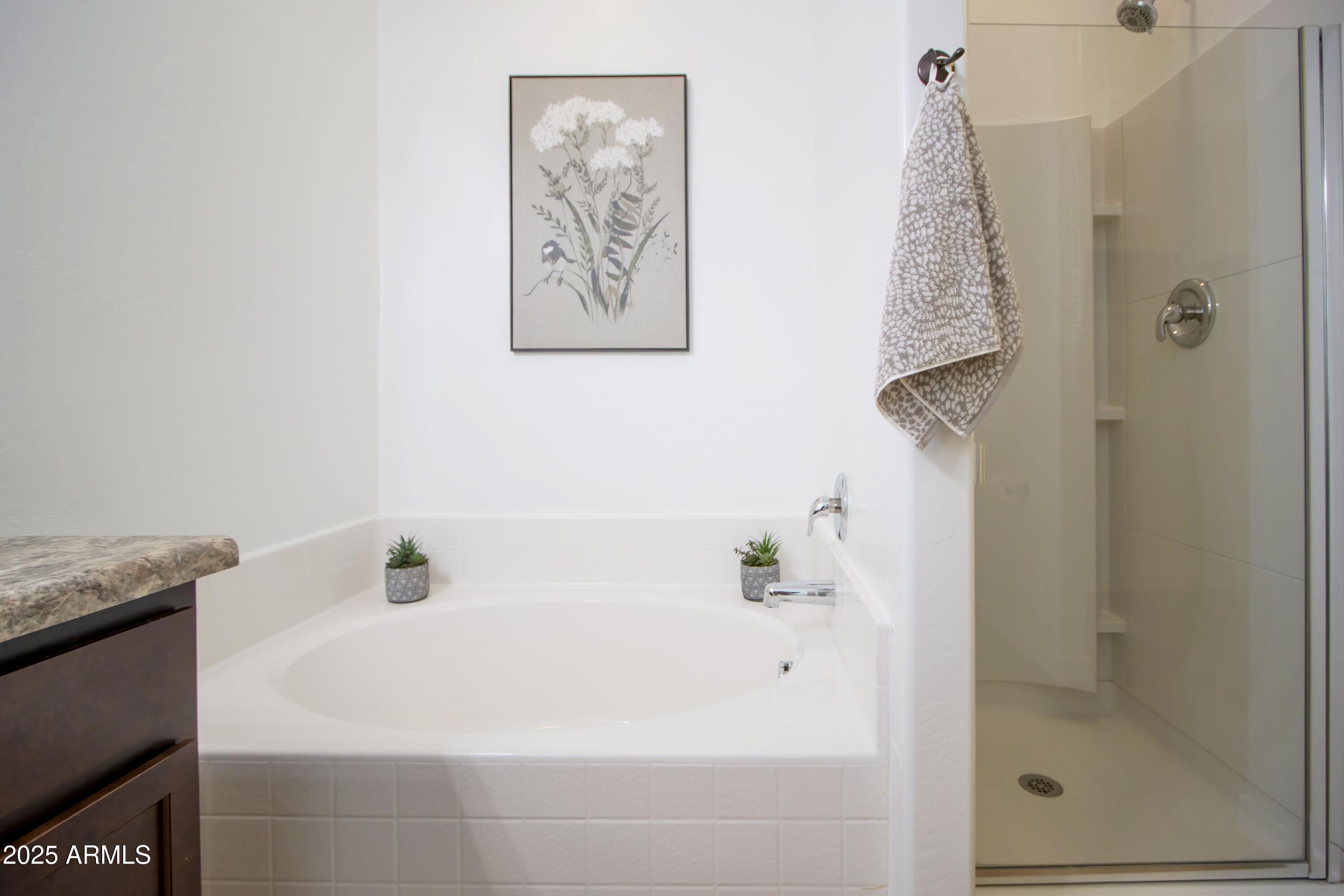 38234 W La Paz Street