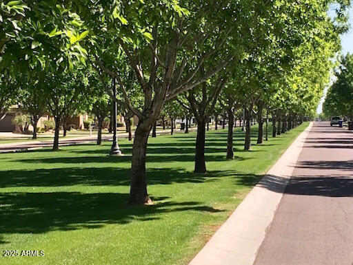 3561 E ARABIAN Drive