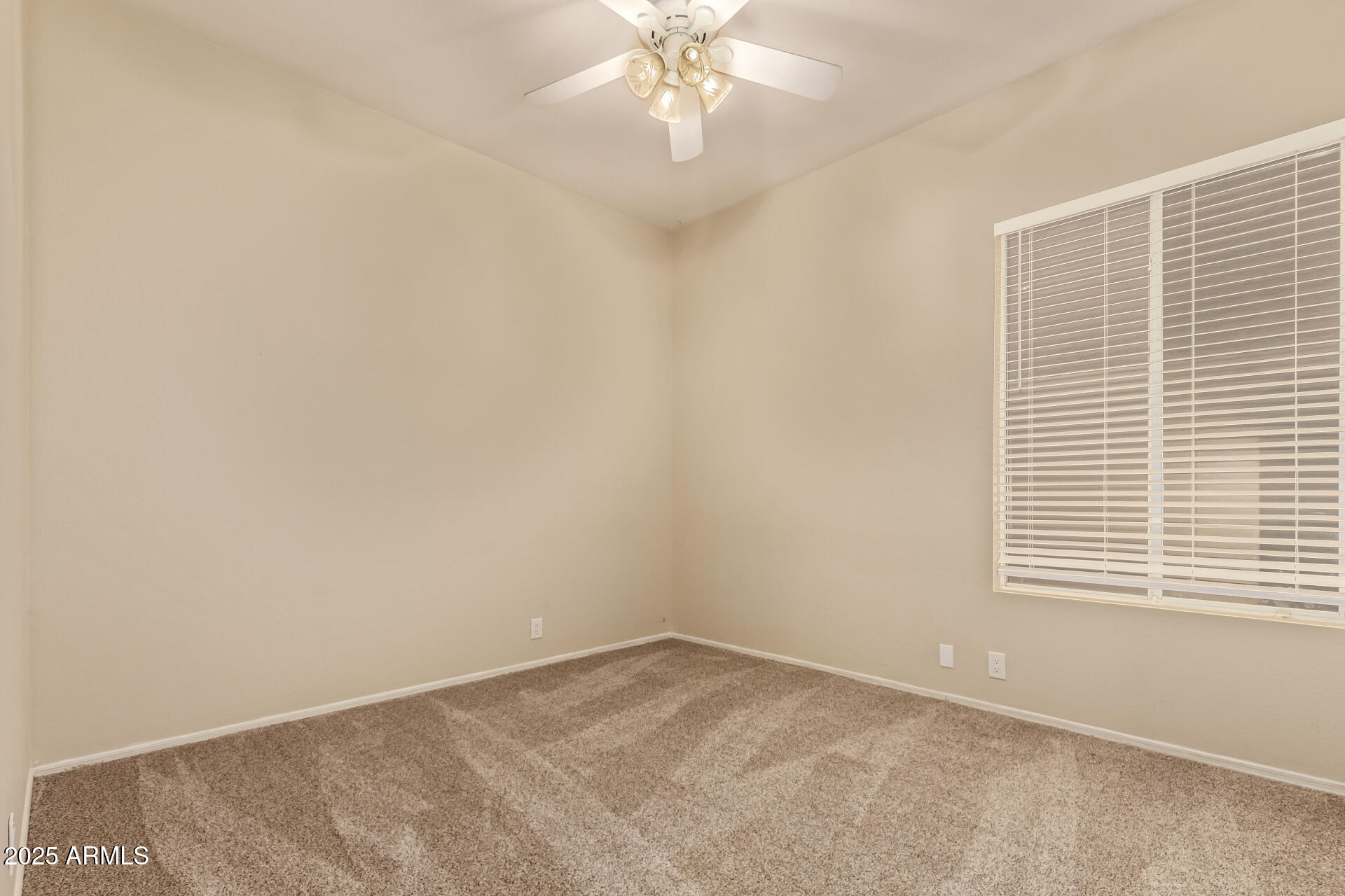 1009 E MOUNTAIN VISTA Drive