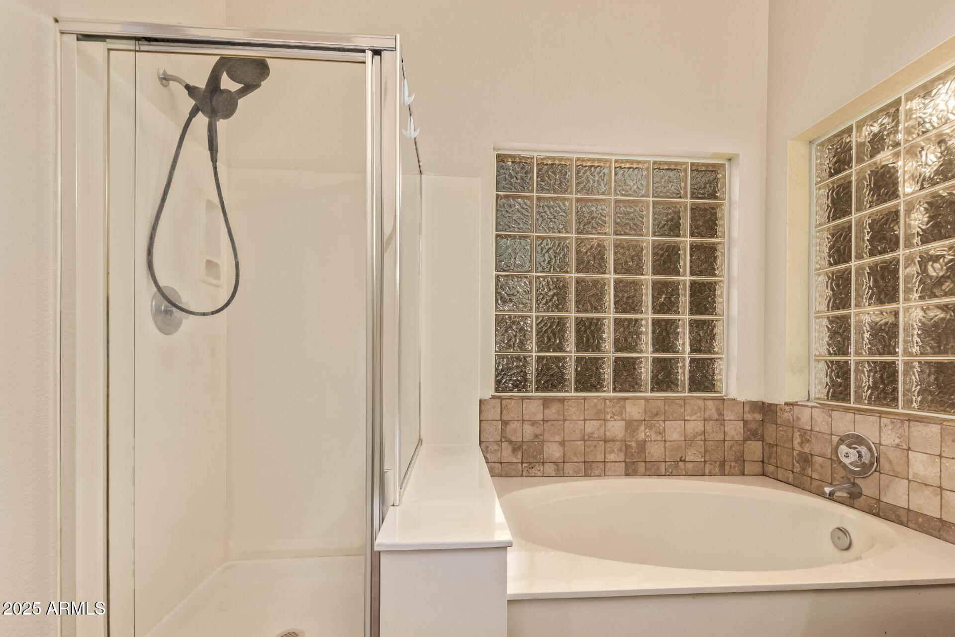 1009 E MOUNTAIN VISTA Drive