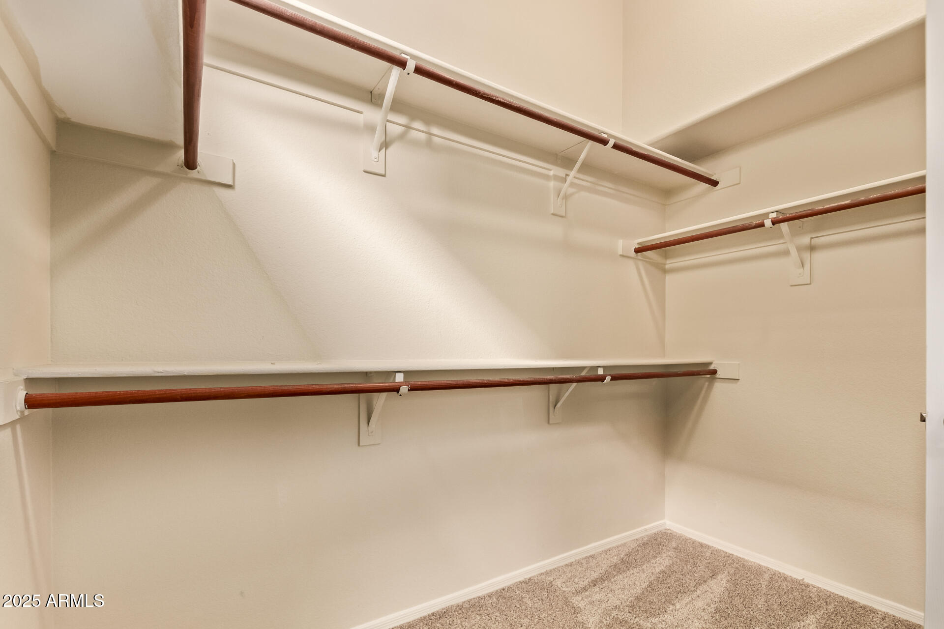 1009 E MOUNTAIN VISTA Drive