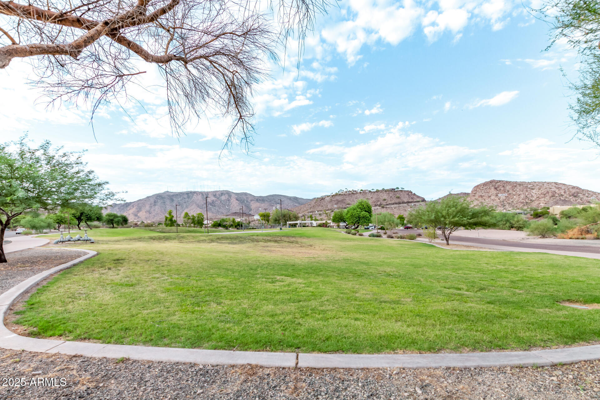 1009 E MOUNTAIN VISTA Drive