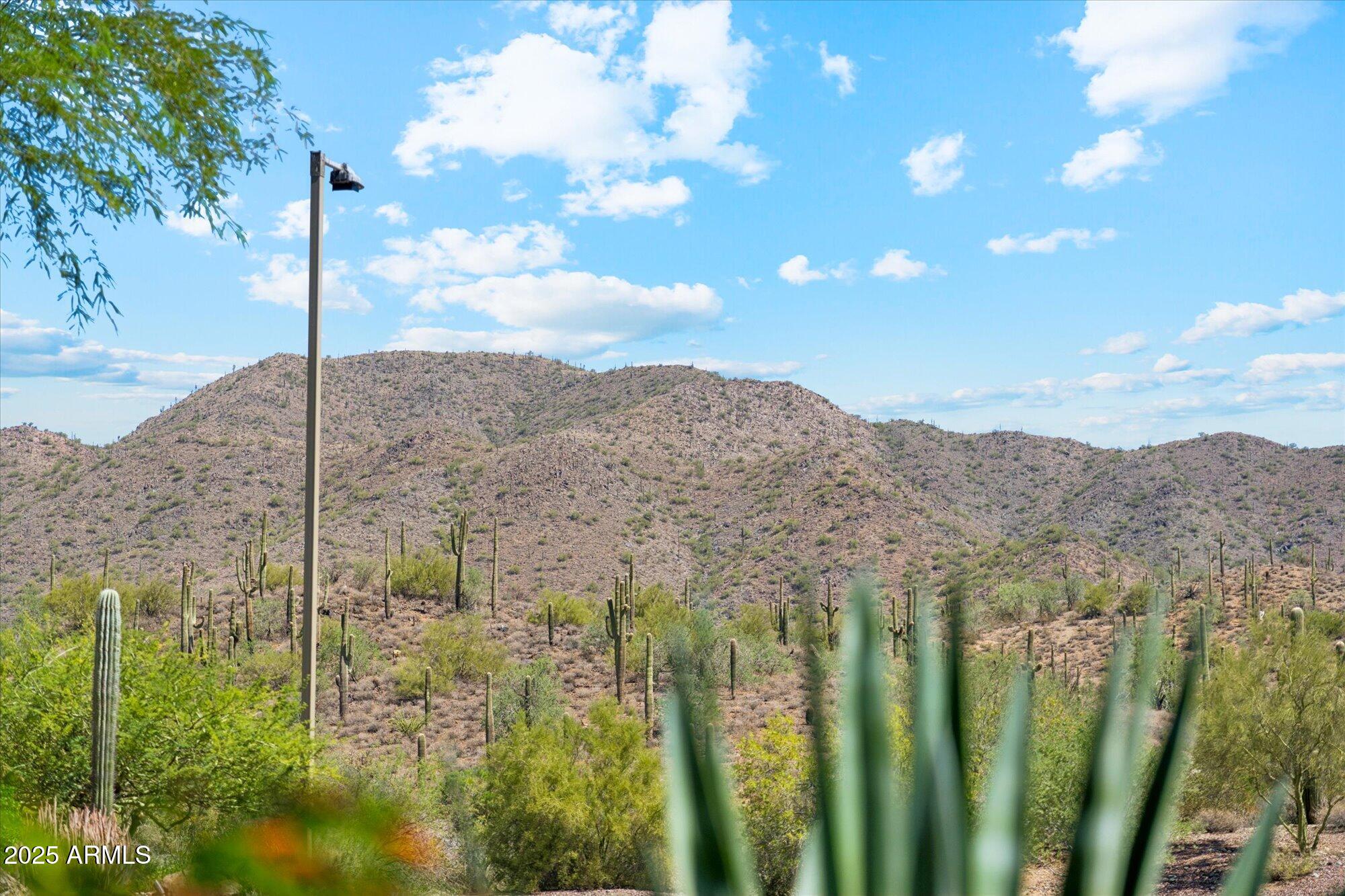 41841 N MILL CREEK Way