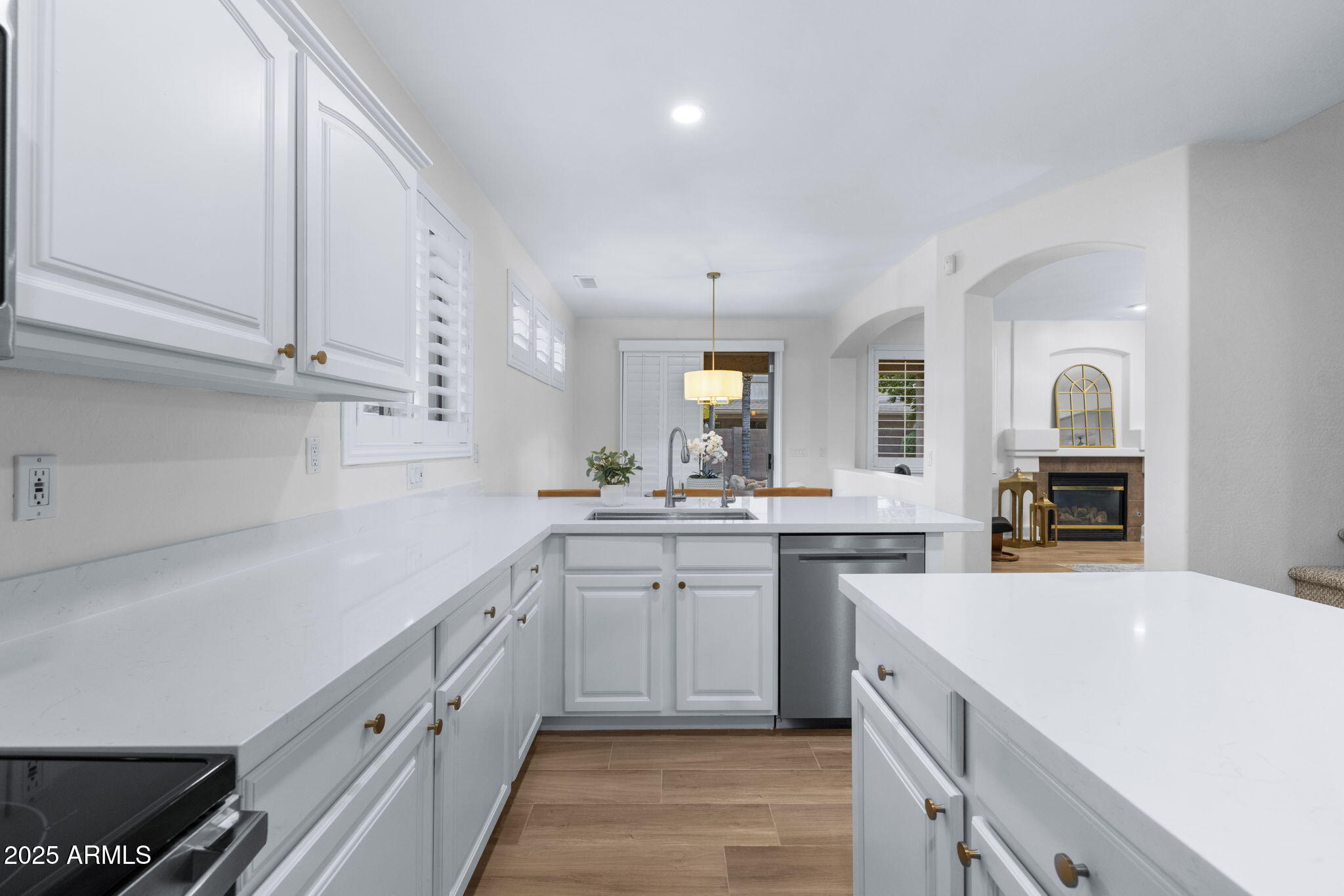 251 W Flamingo Drive