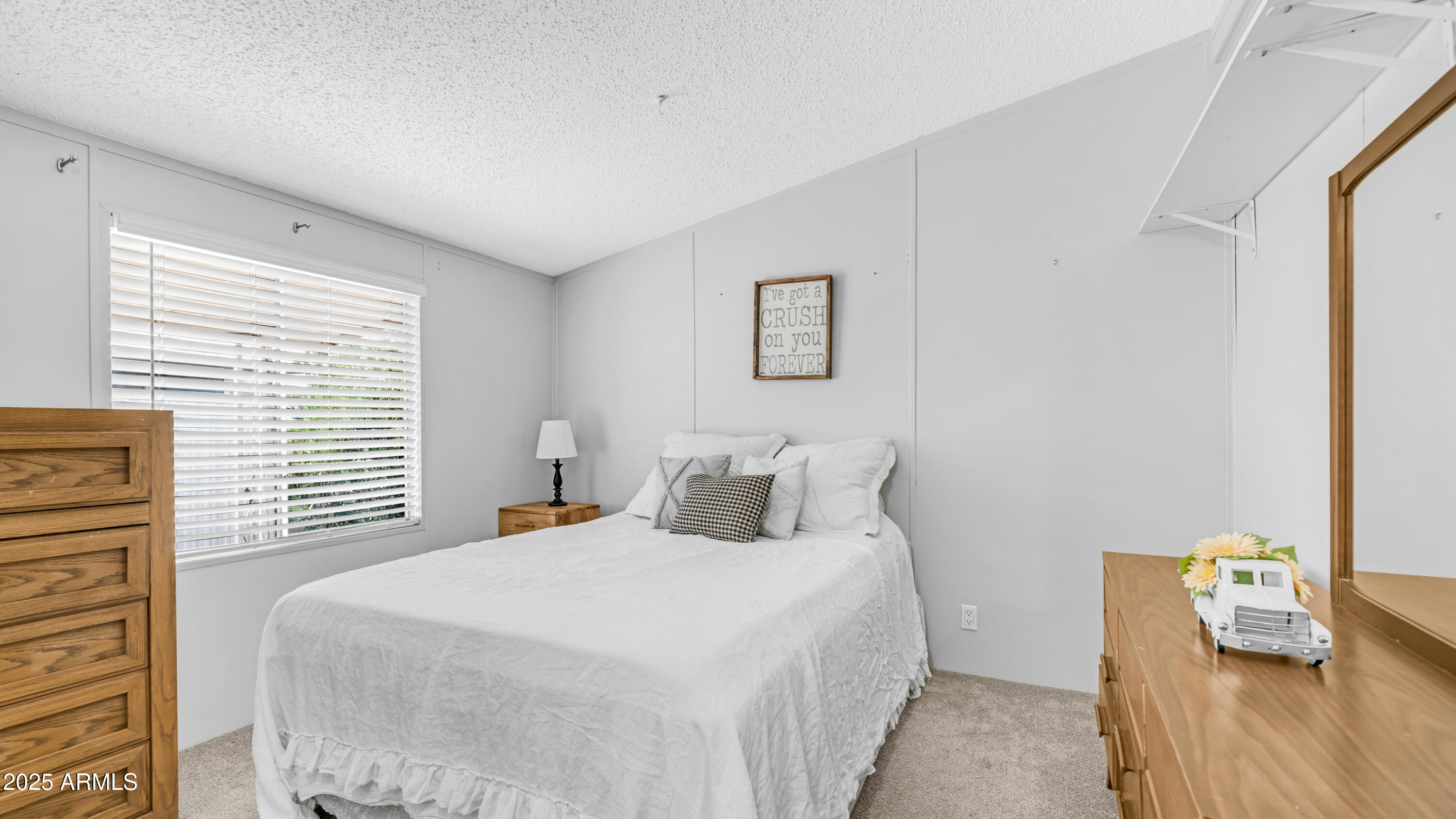 301 S SIGNAL BUTTE Road, 51