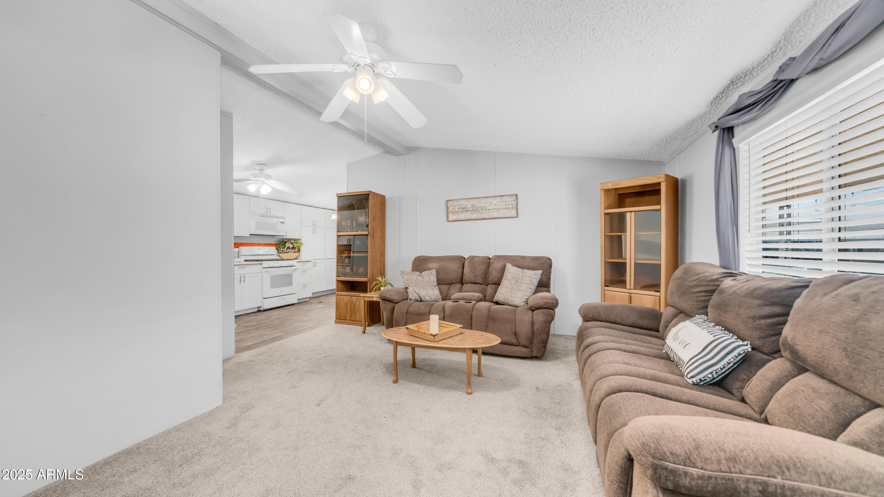 301 S SIGNAL BUTTE Road, 51