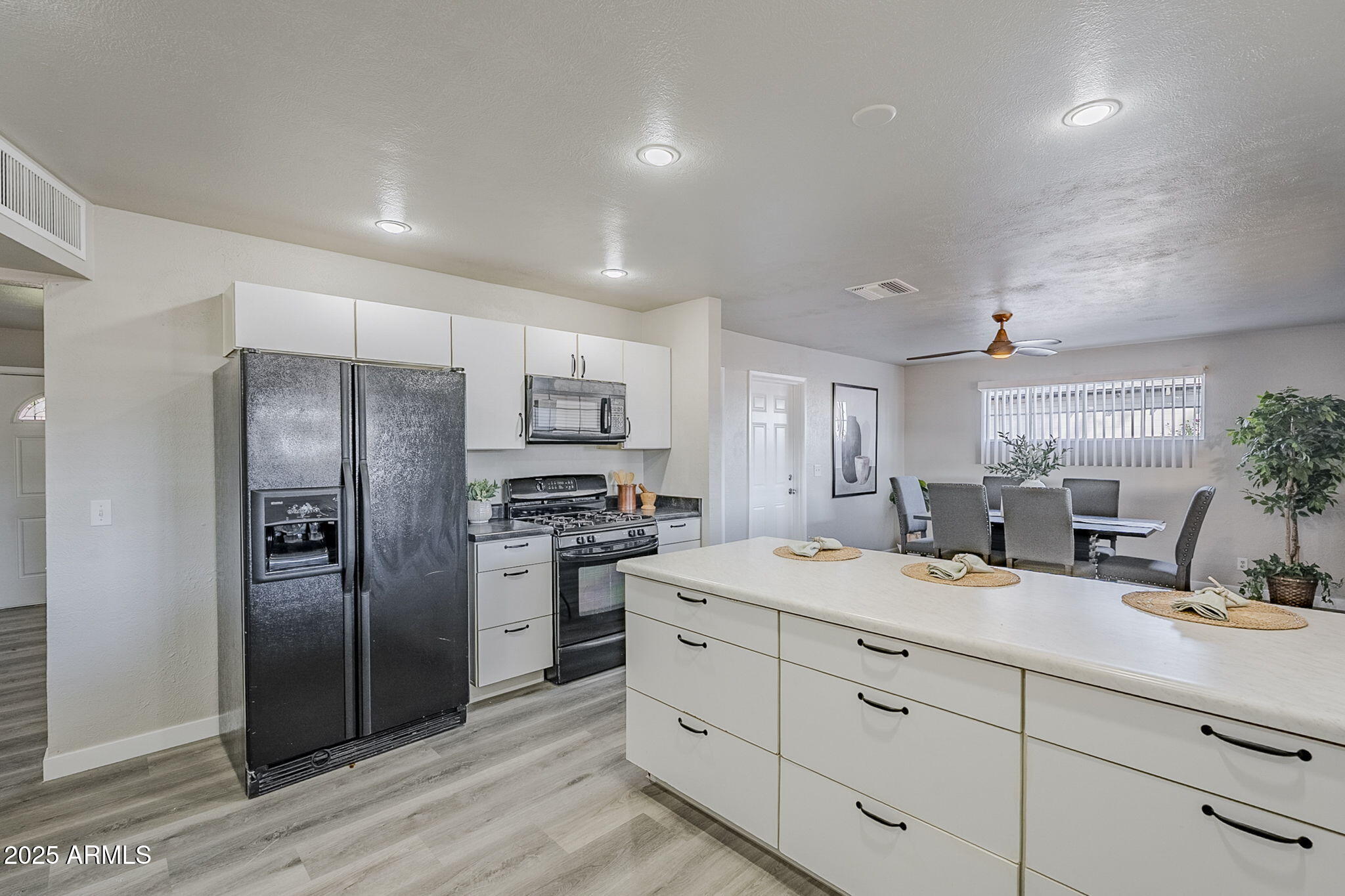 2445 W DIANA Avenue