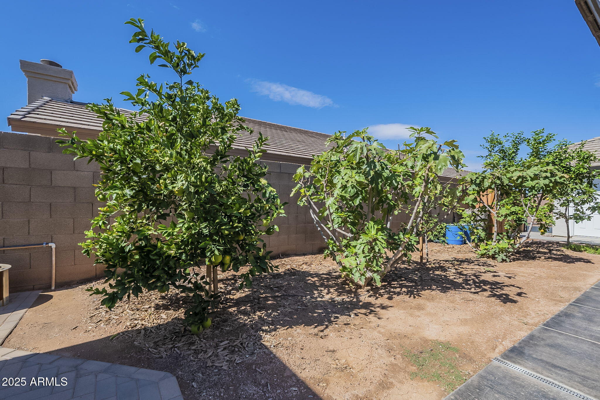 1173 E BETSY Lane, Gilbert