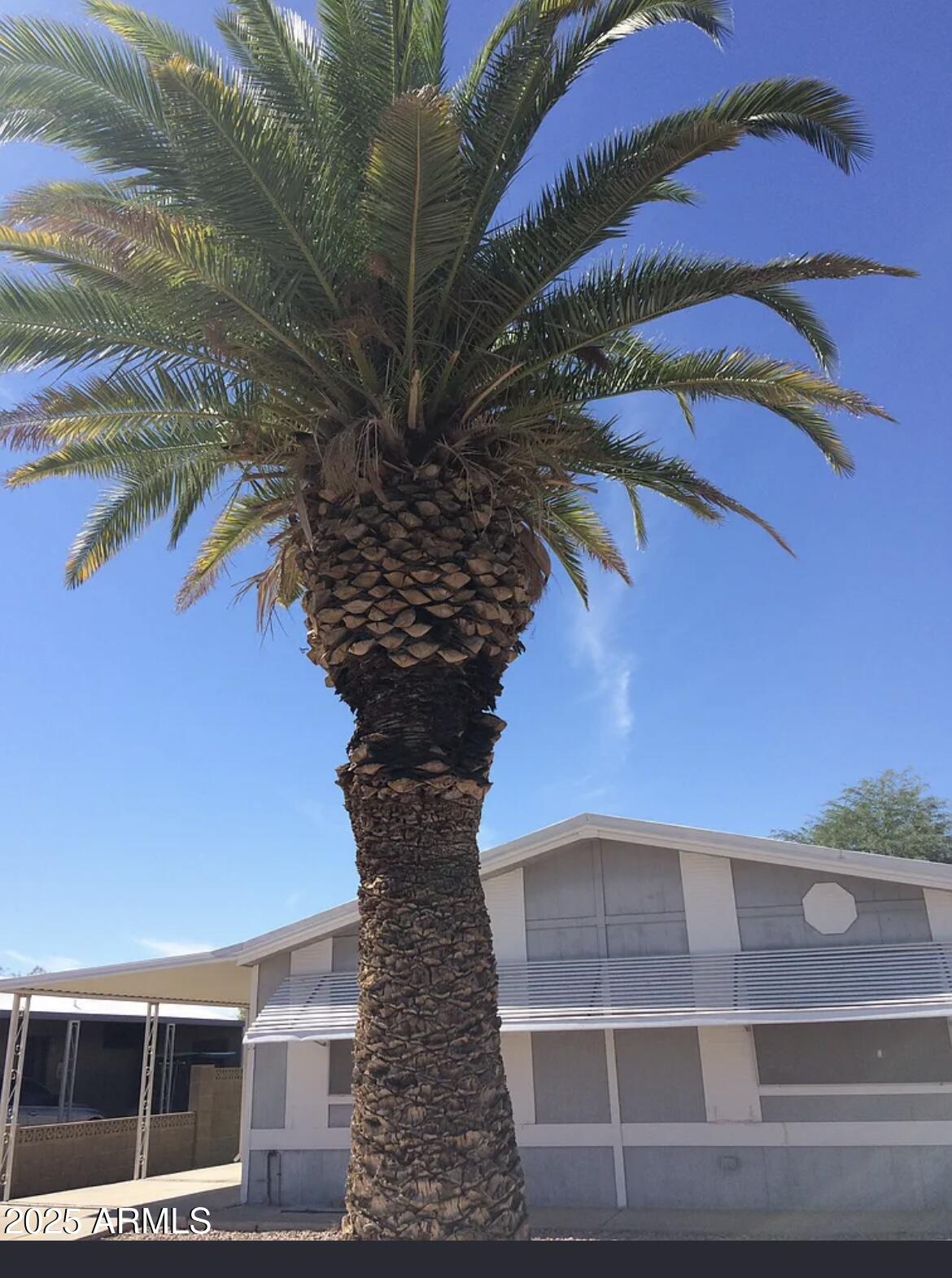 26618 S MARICOPA Place, Sun Lakes