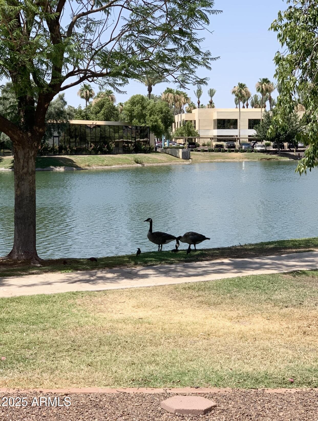 2644 W Desert Cove Avenue, Phoenix