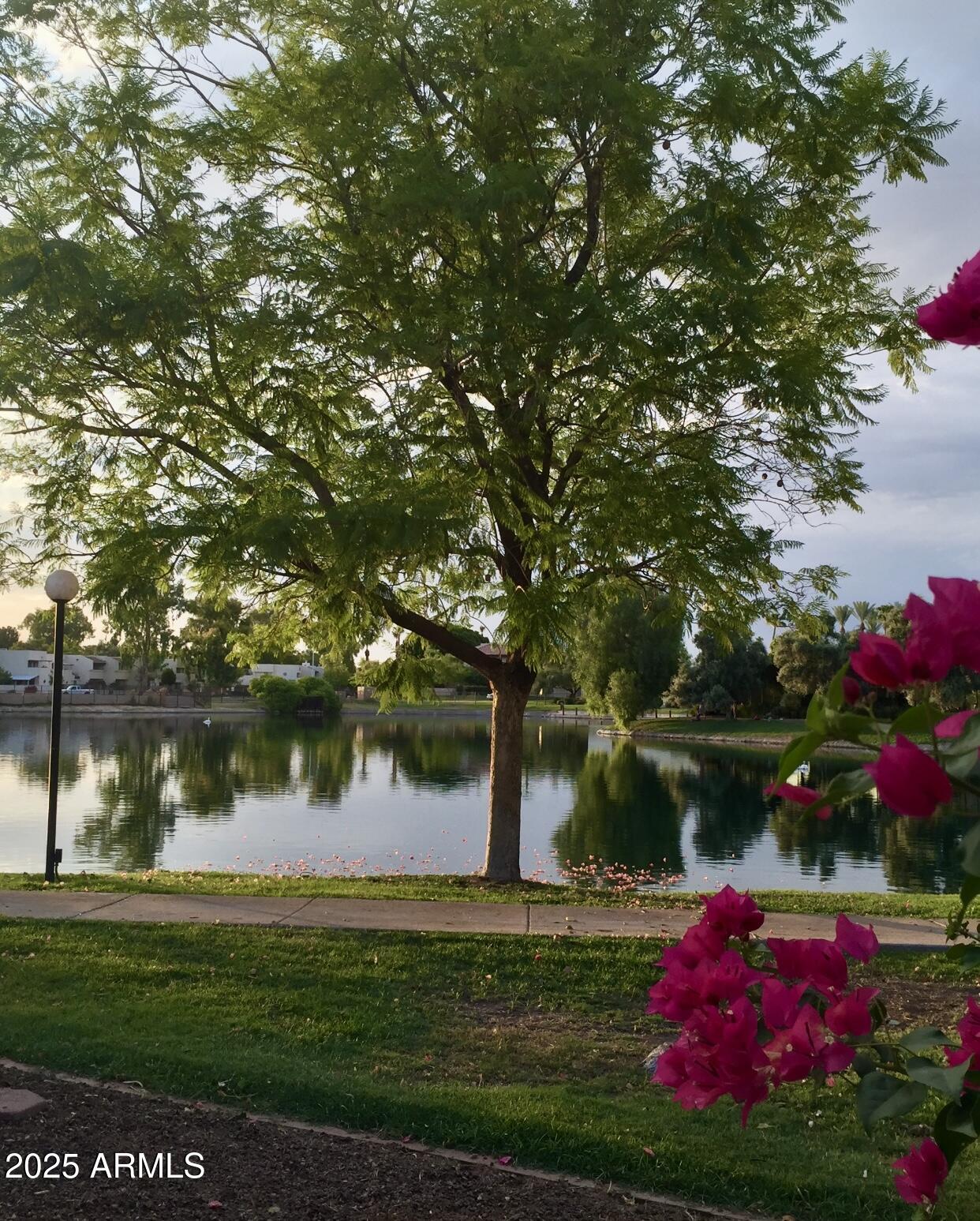 2644 W Desert Cove Avenue, Phoenix