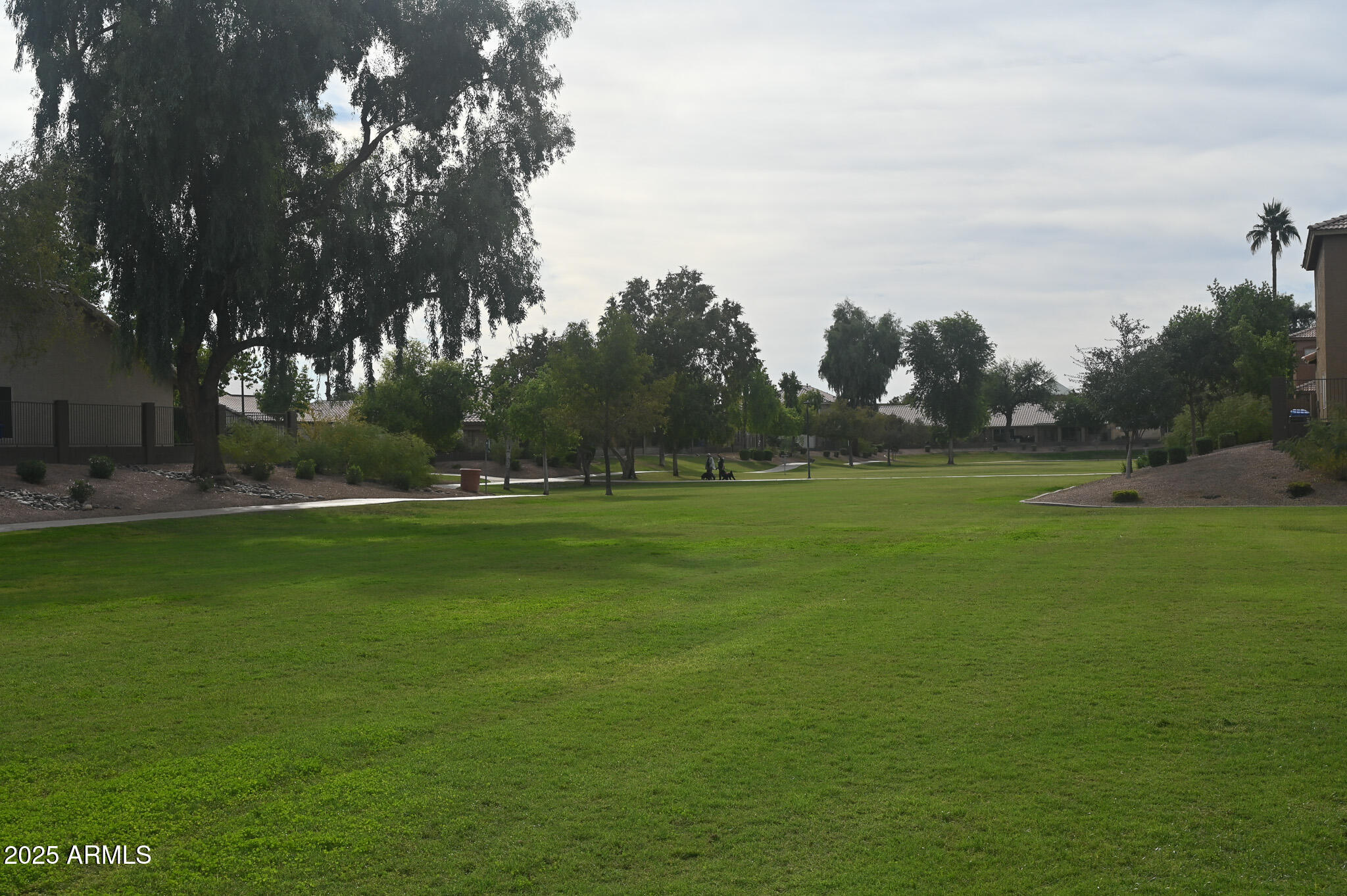 249 E PALOMINO Court