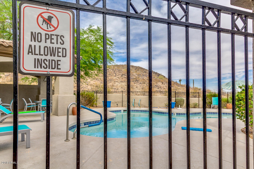 3236 E CHANDLER Boulevard 2093