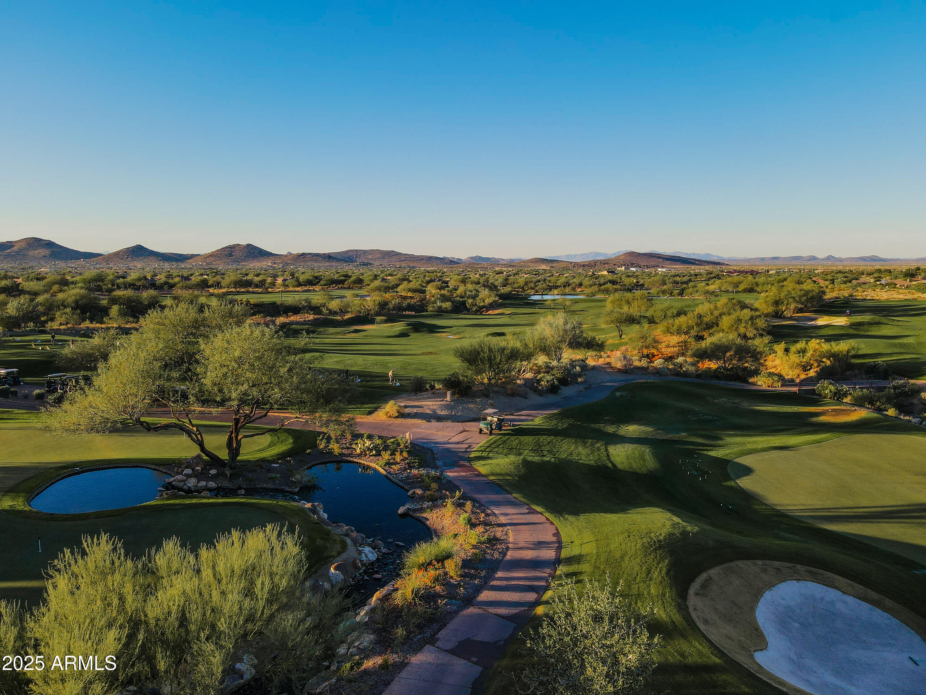 41819 N IRON HORSE Court