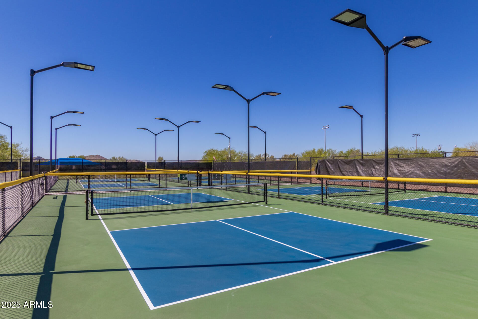 41819 N IRON HORSE Court