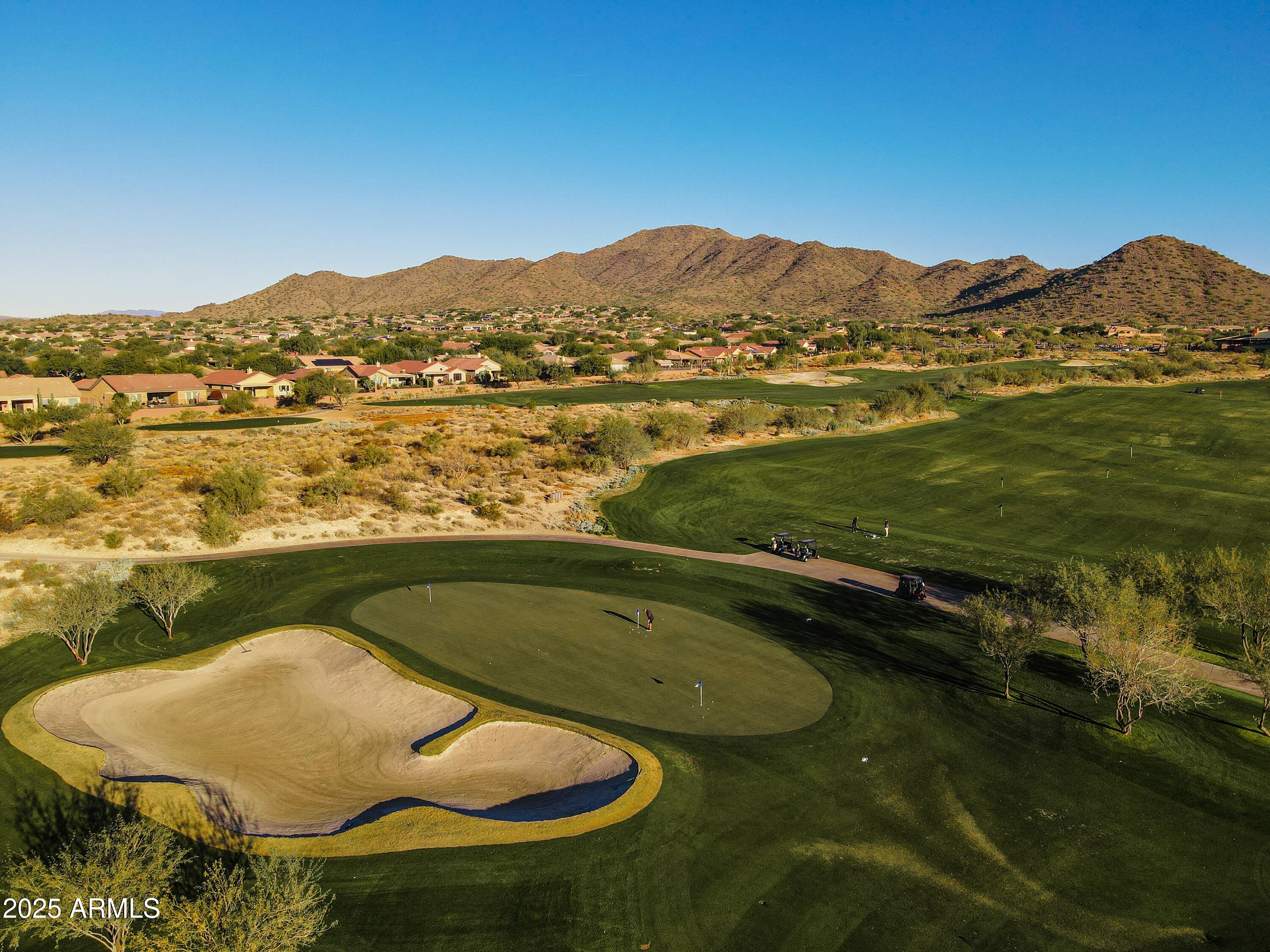 41819 N IRON HORSE Court