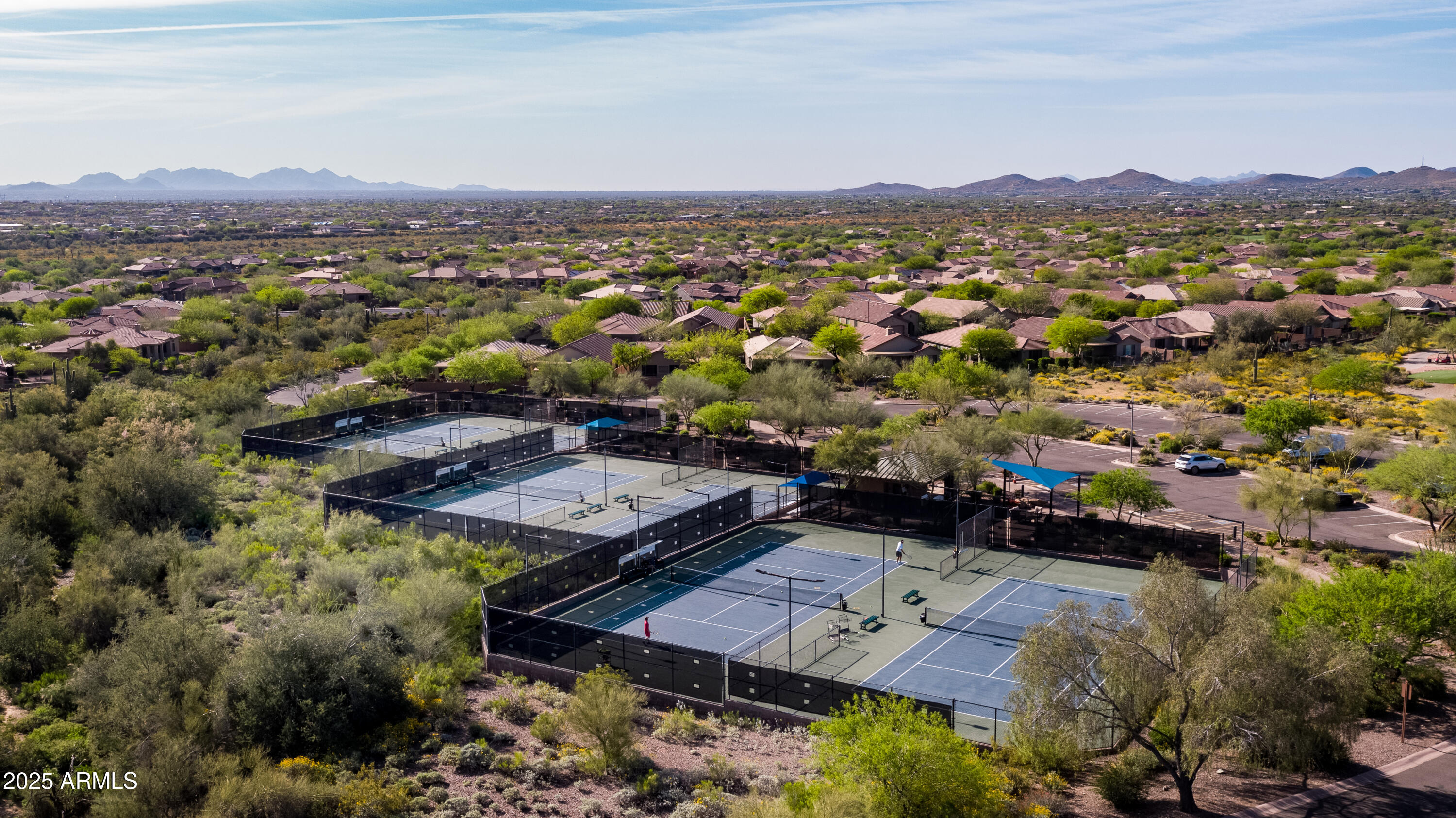 41819 N IRON HORSE Court